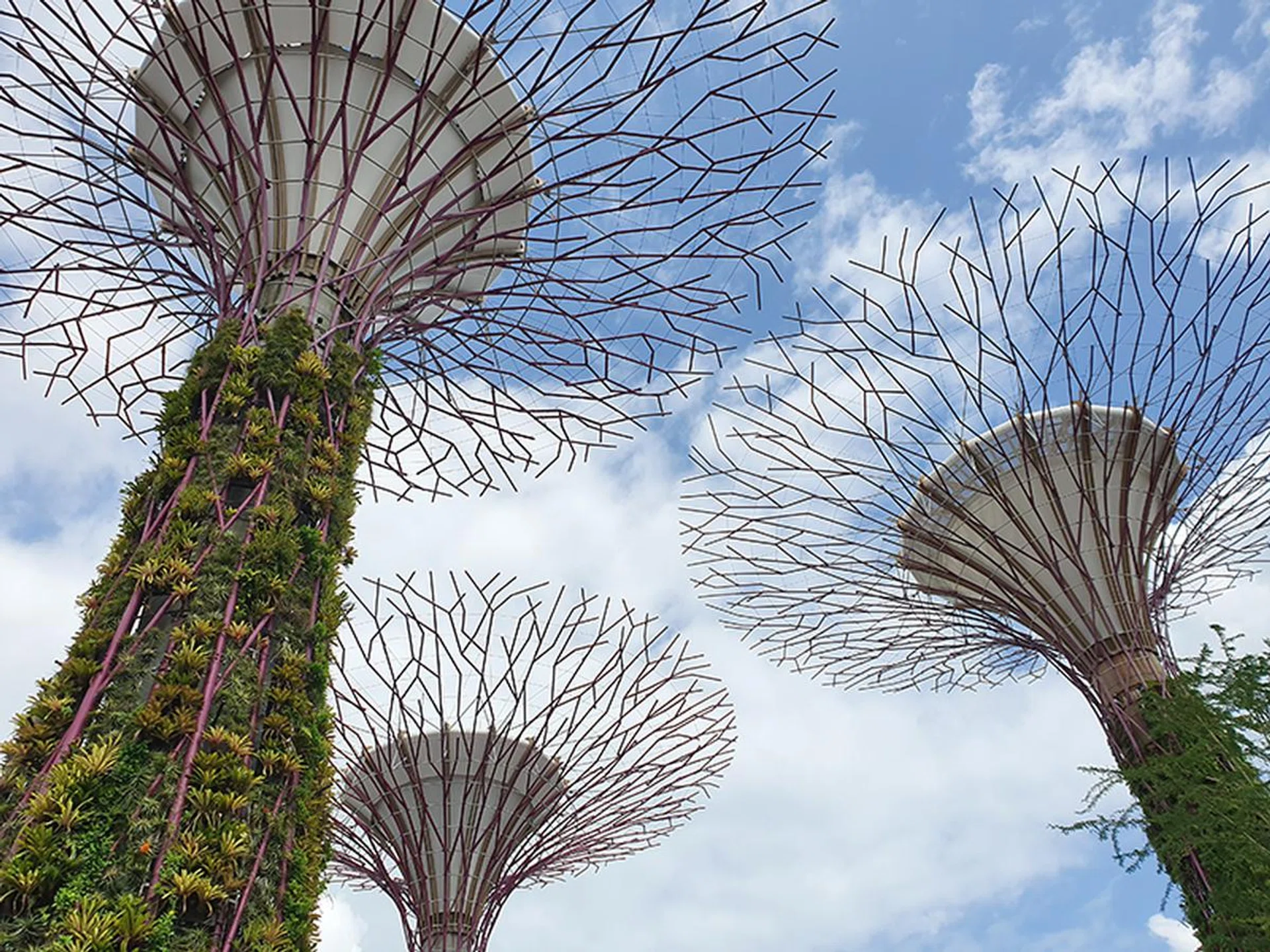 S10+. (Click to view full-size image)