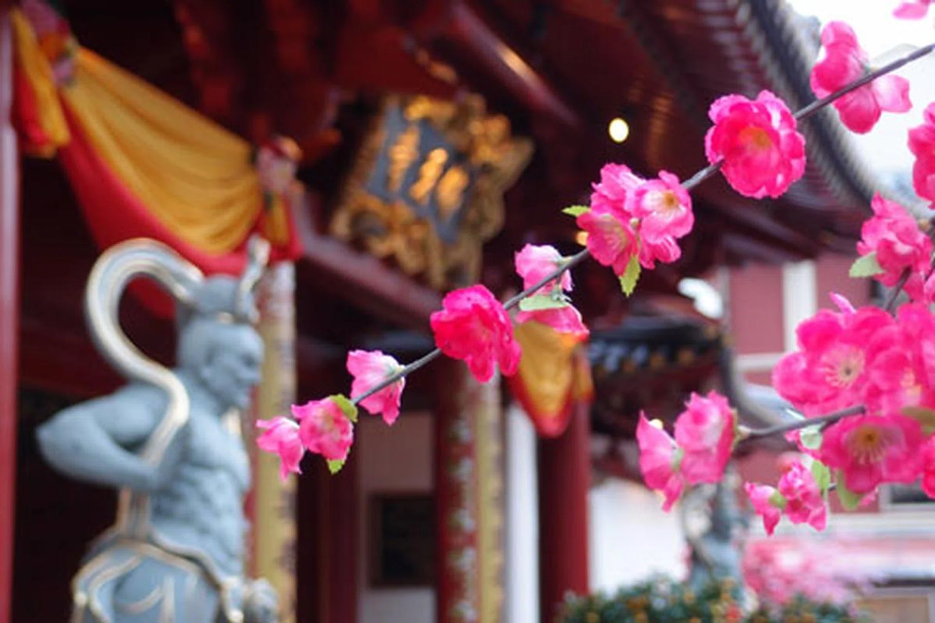 f/2.2 at 71mm, 1/60 sec, ISO200.