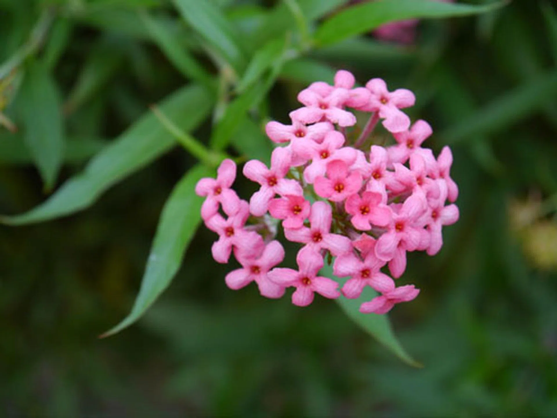 f/5.6 at 84mm (35mm equivalent), 1/80 sec, ISO400.