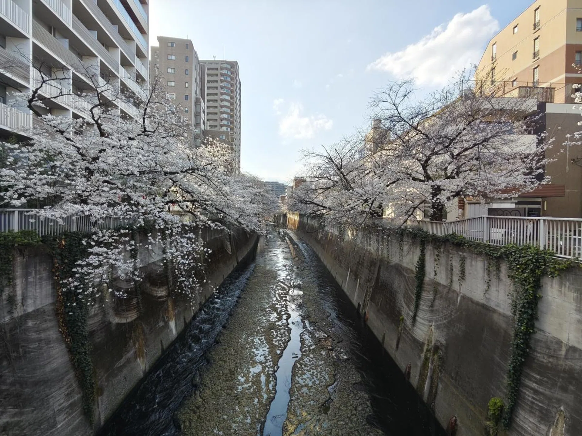 Ultrawide. Photo: HWZ.