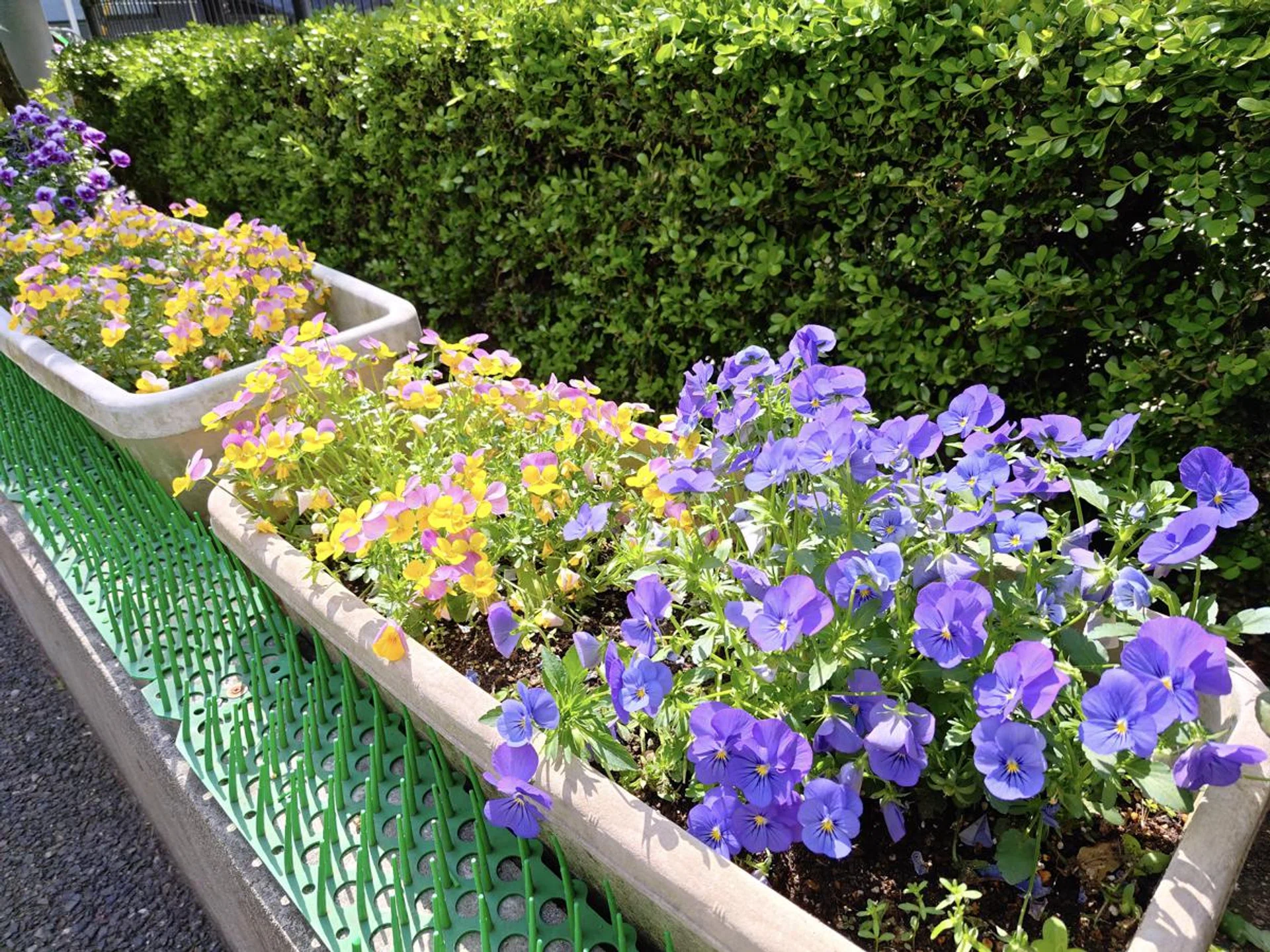 Main camera. Photo: HWZ.