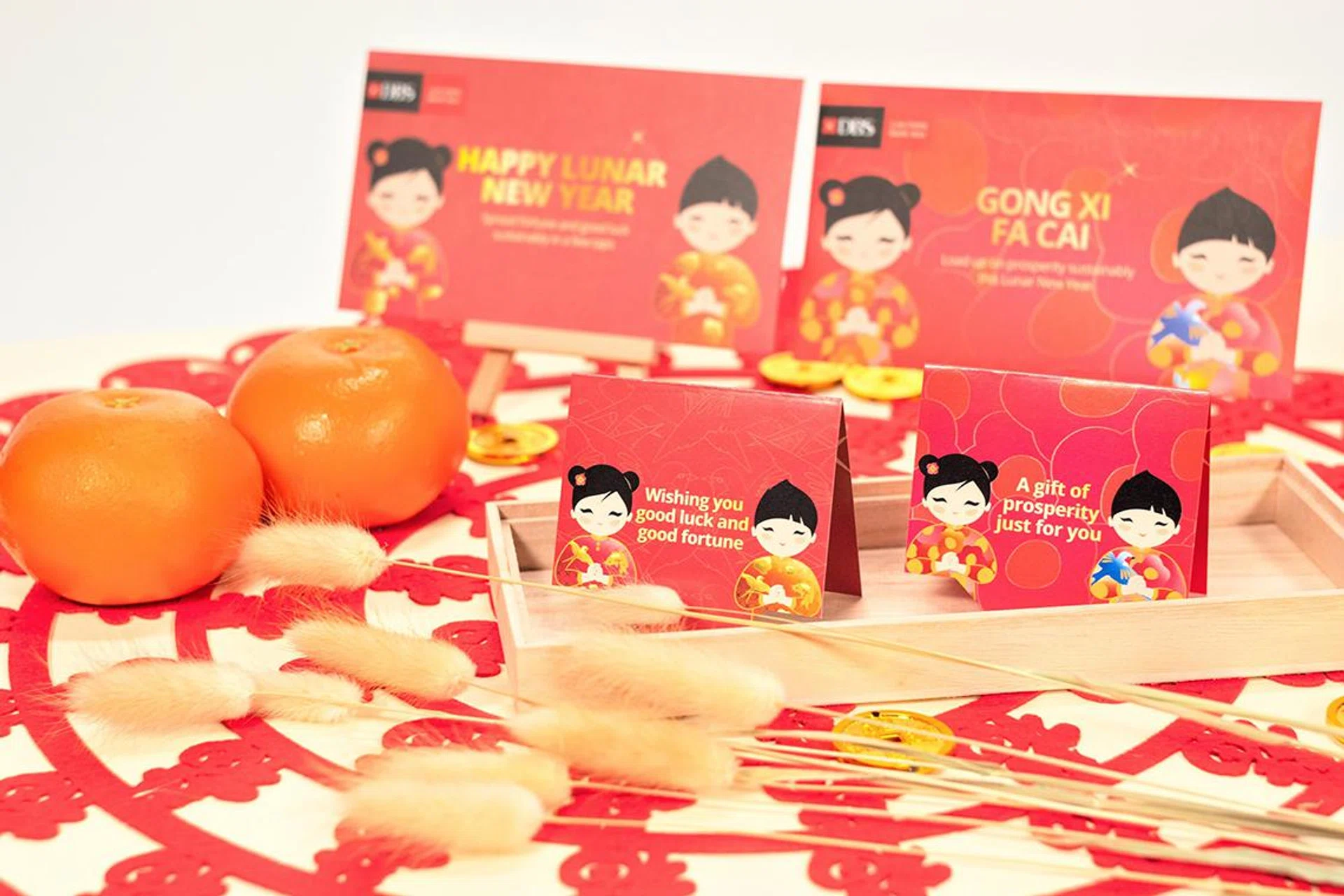 DBS QR Gift (CNY 2022 designs).