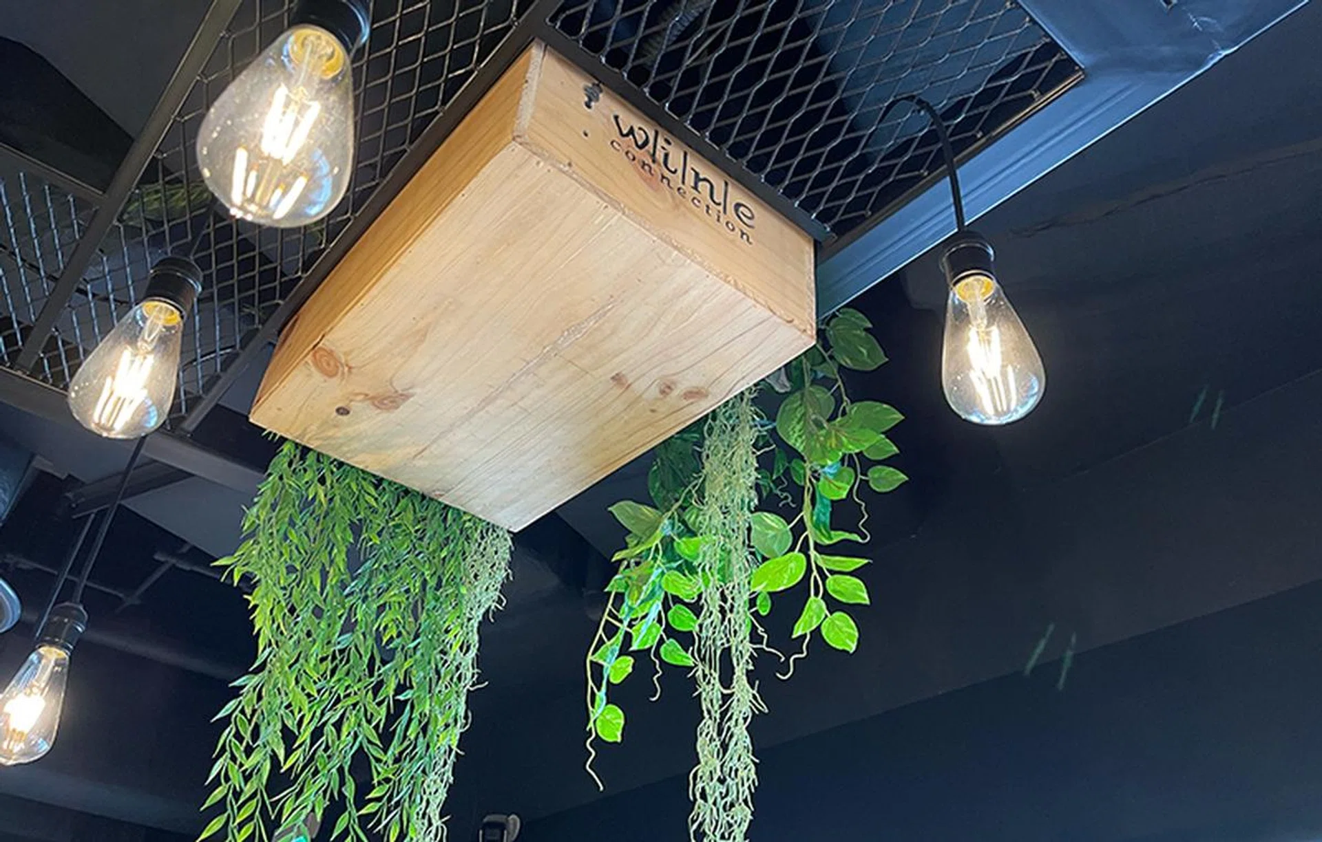 Not that you can see (or should be able to), but another transducer is hiding in this wooden ceiling crate, replete with plants for decor.