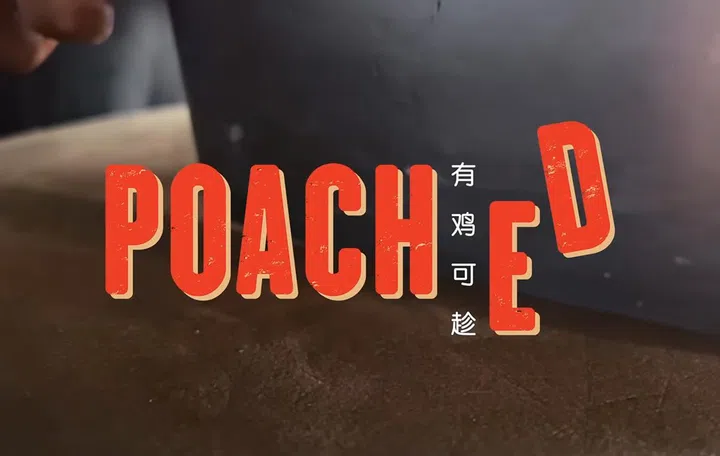 Chicken rice. Now shot on iPhone, because of Apple.