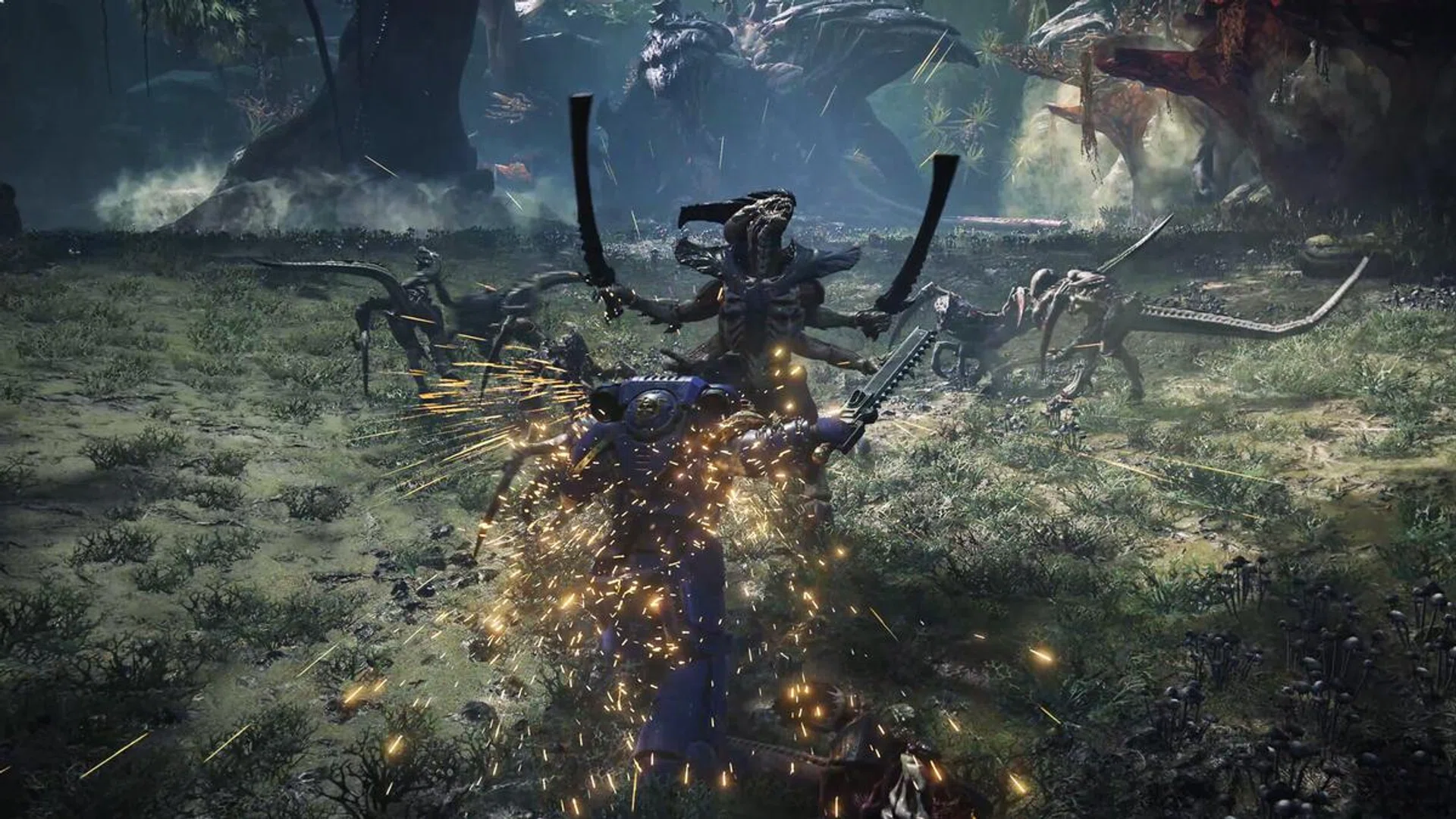 Image: Focus Entertainment