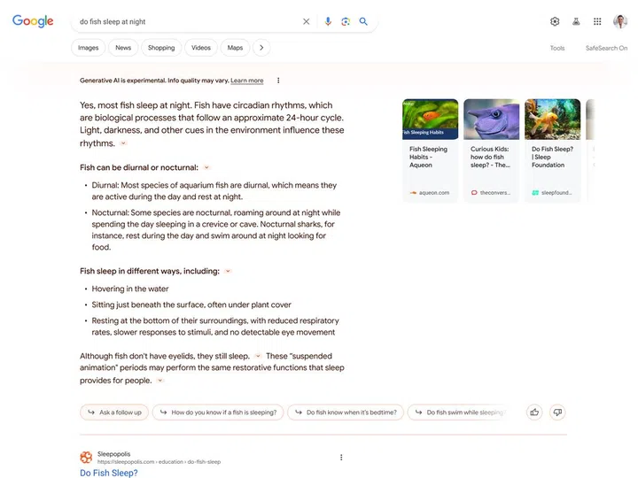Example where user asks if fish sleep at night on Google Search with SGE enabled. Credit: Google.
