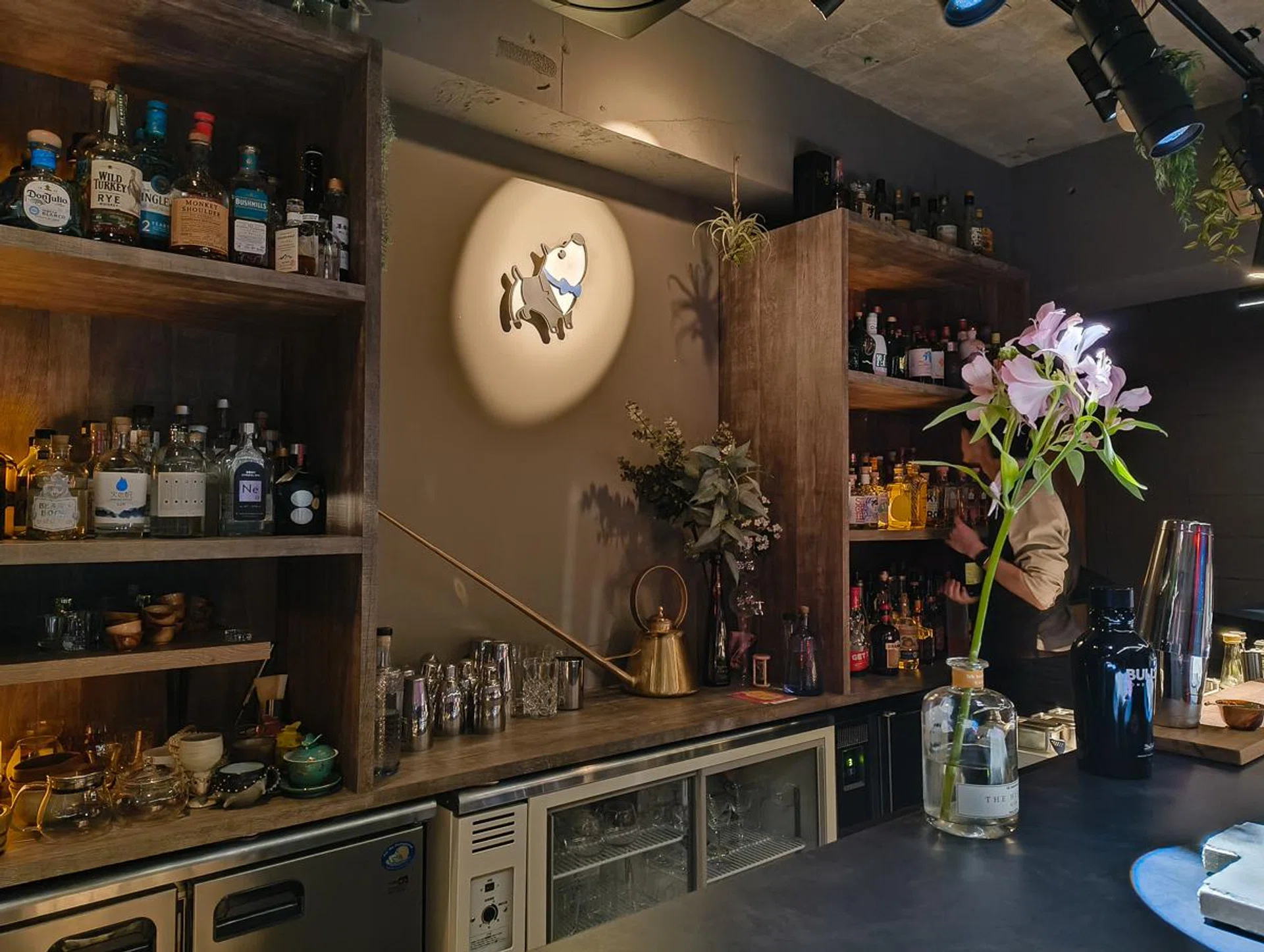 Main camera (low light shot).