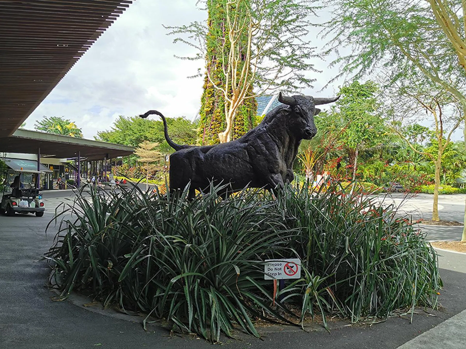 P30 Pro. (Click to view full-size image)