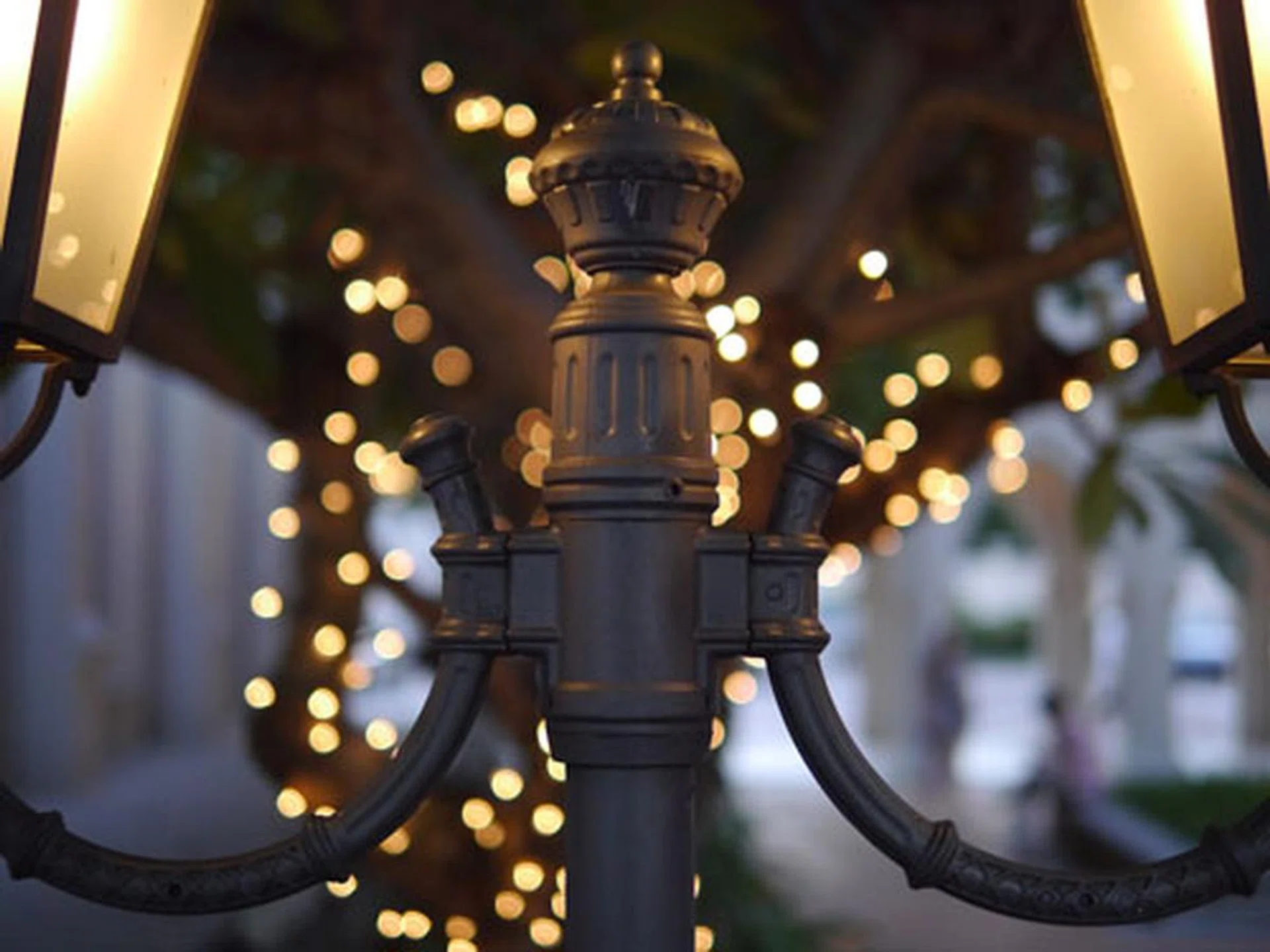 f/1.4 at 25mm, 1/640 sec, ISO1600.