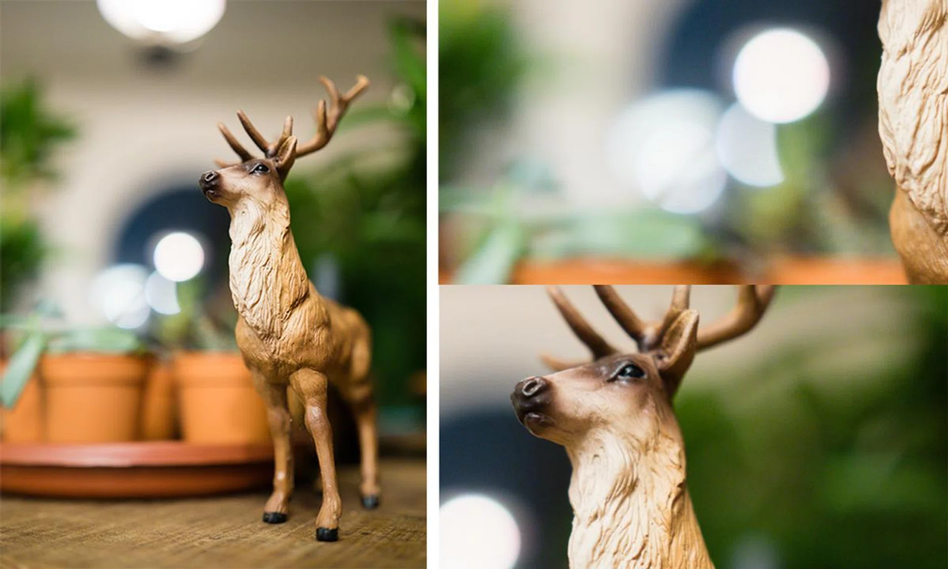Here’s a quick comparison between the ‘feathered bokeh’ and ‘non-feathered’ look. This was shot at f/1.2, with close-ups on the specular highlights and the leaves in the background.