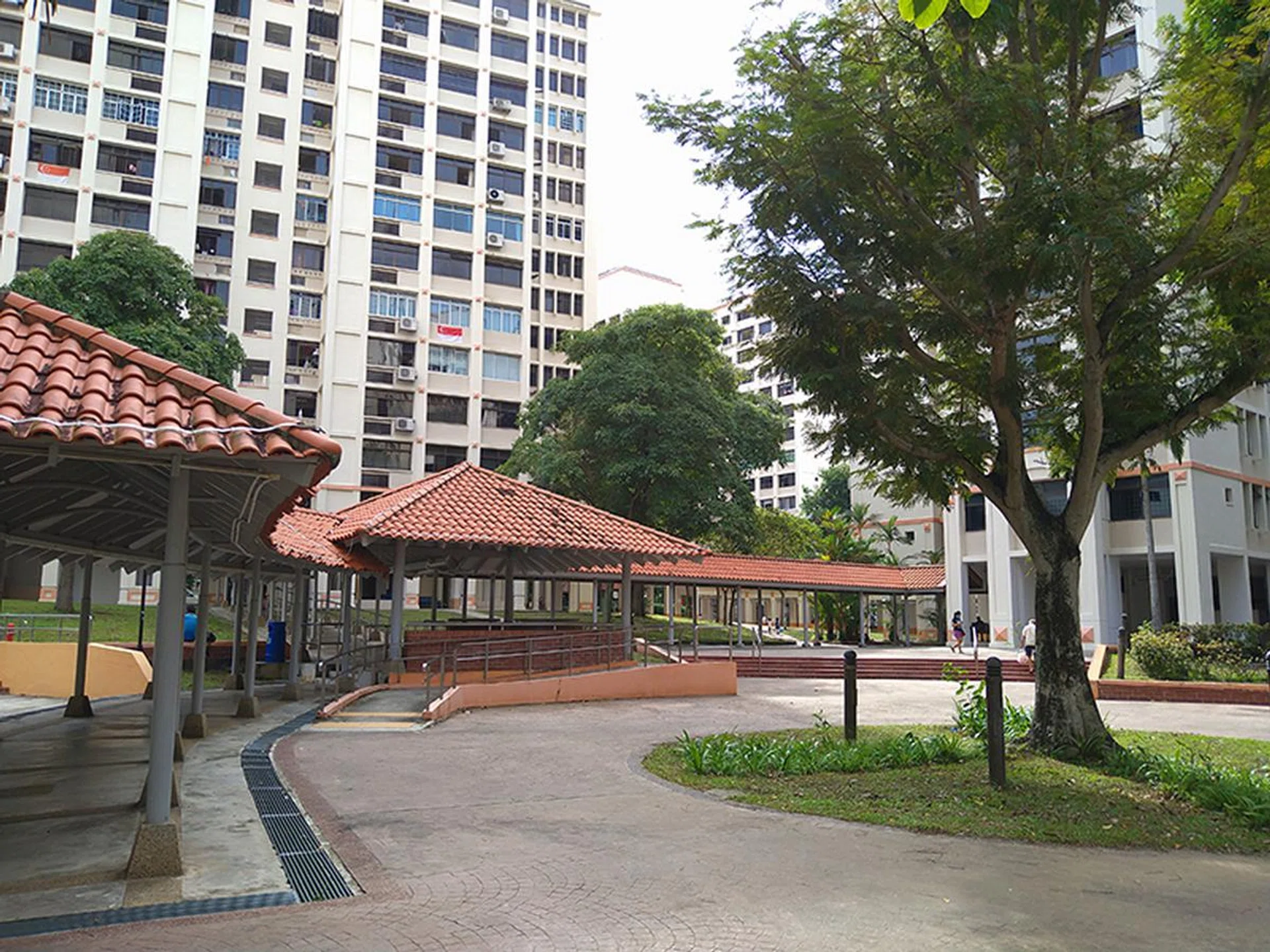 Main camera photo for comparison.