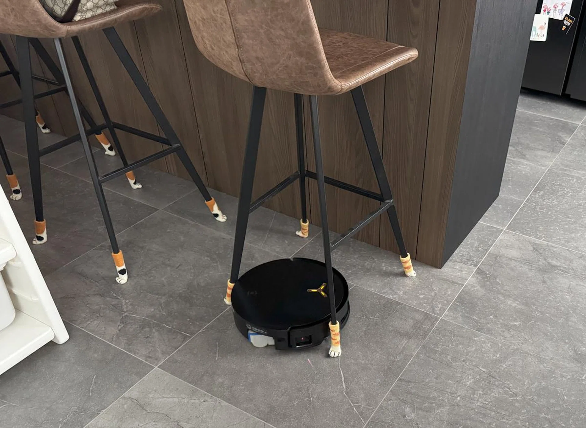 I must admit a round shape does allow it to maneuver around furniture better. Photo: HWZ