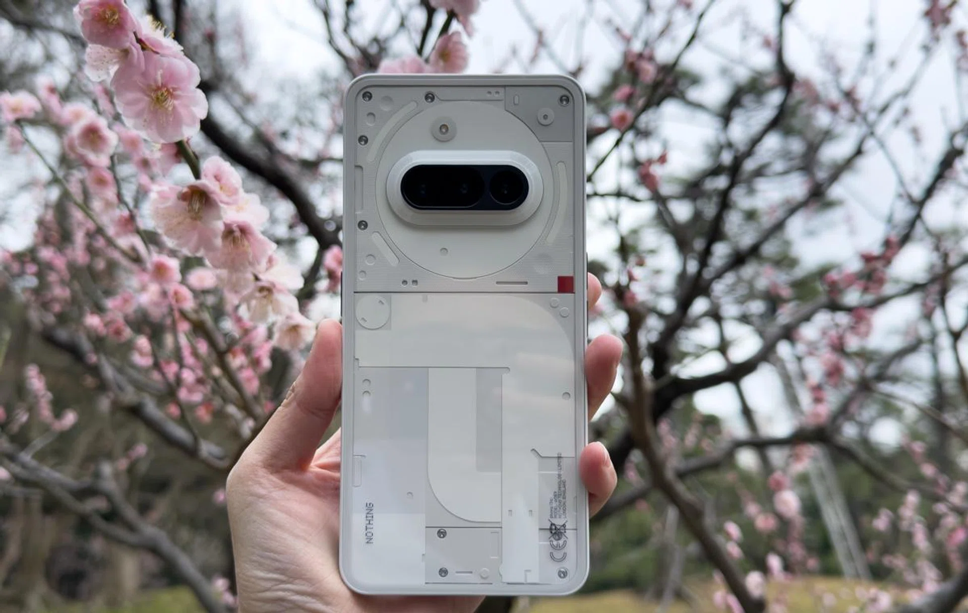 Nothing Phone (3a). Photo: HWZ.