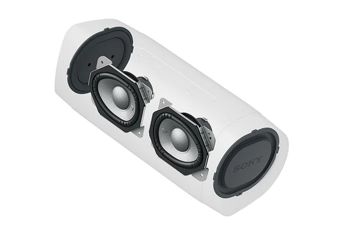 Sony SRS-XB33's internals.