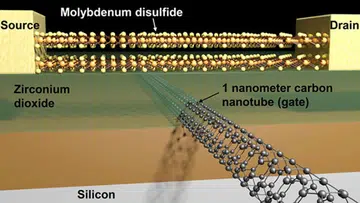 A schematic diagram showing the channel and carbon nanotube gate. (Image Source: Sujay Desai/UC Berkeley)