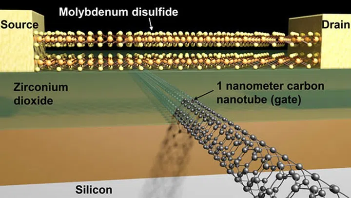 A schematic diagram showing the channel and carbon nanotube gate. (Image Source: Sujay Desai/UC Berkeley)