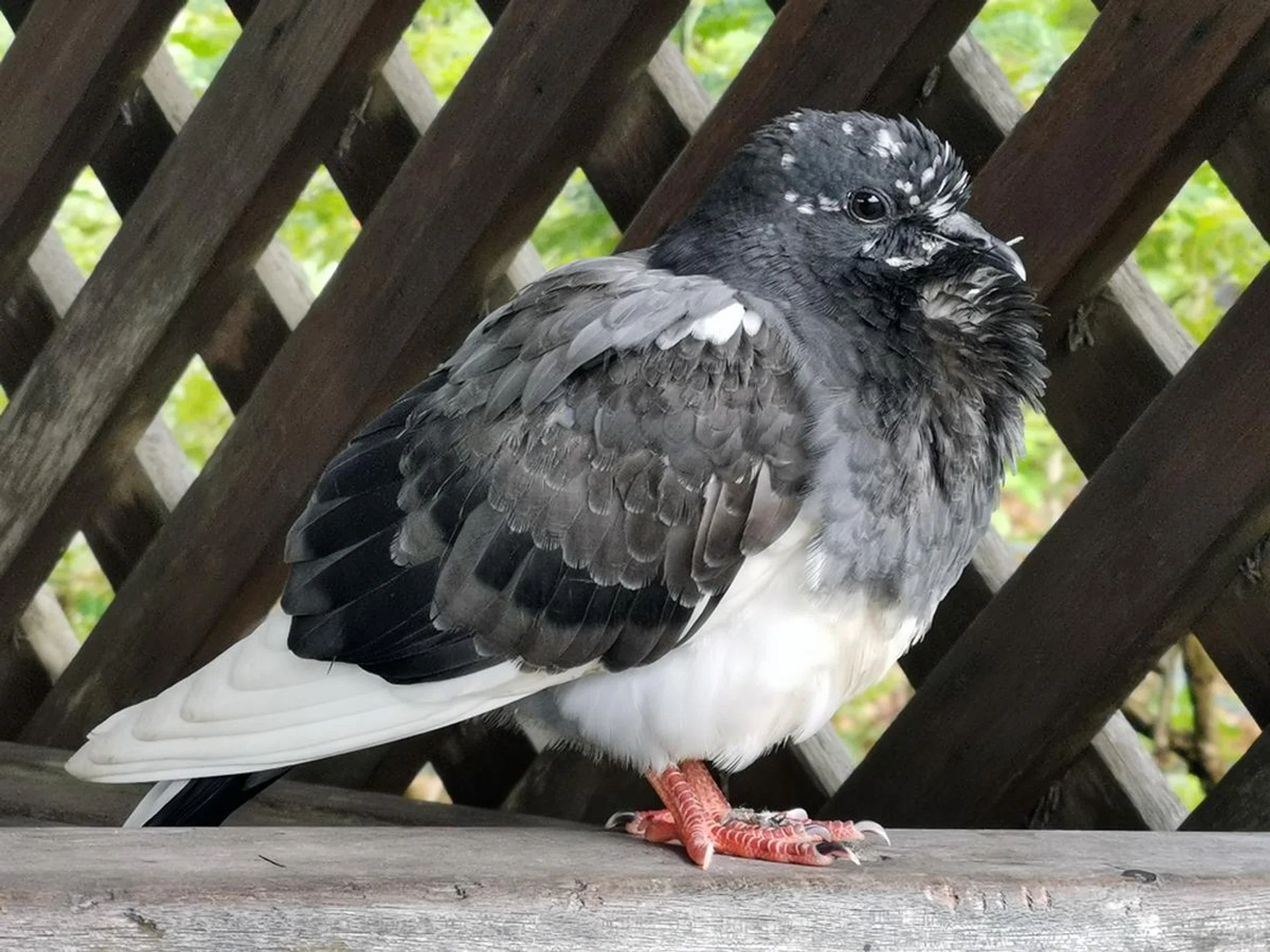 5x zoom (hybrid zoom), ISO50, 1/125 sec