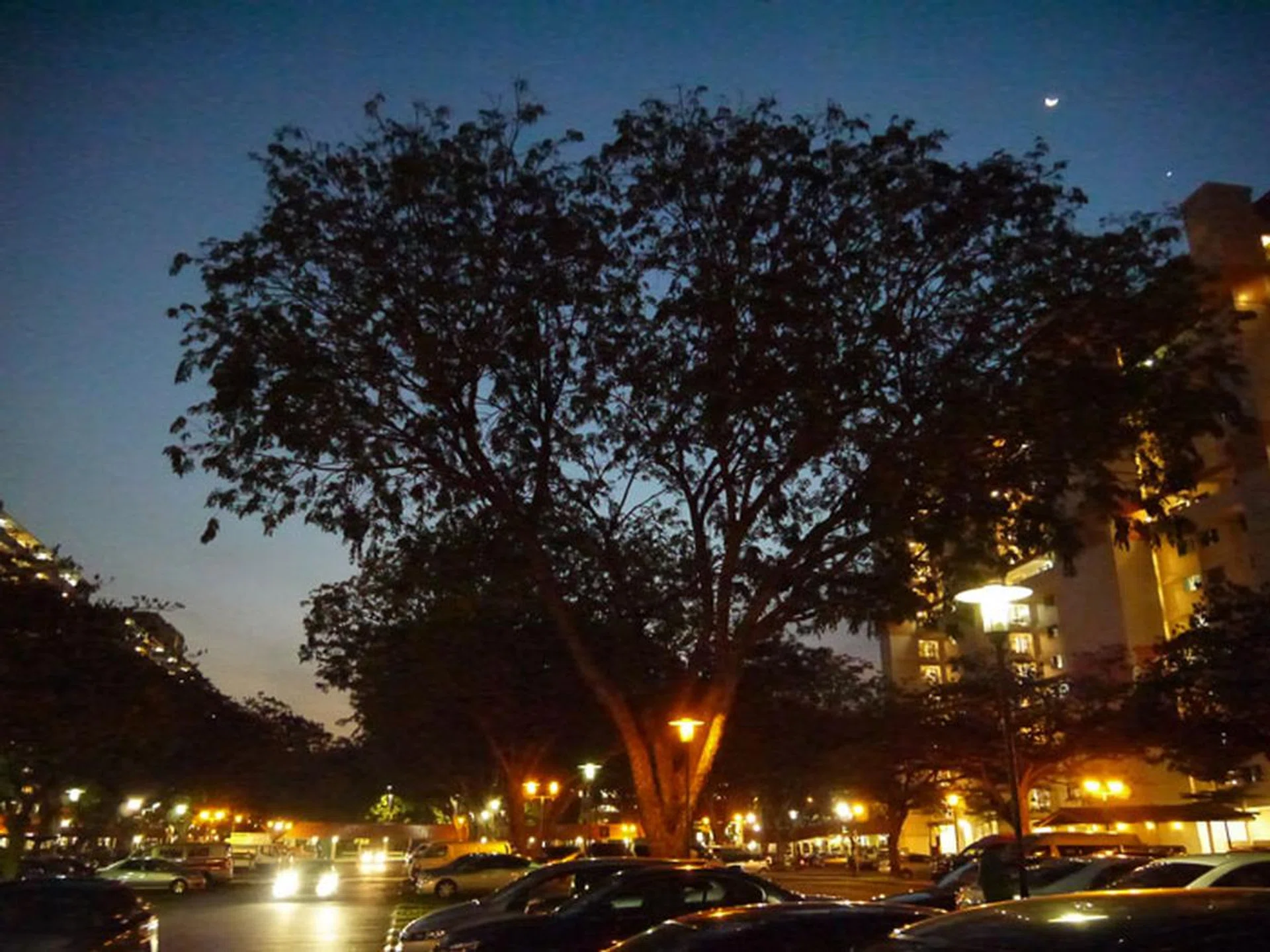 f/3.5 at 28mm (35mm equivalent), 1/30 sec, ISO6400.