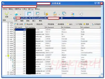 The usernames and passwords that were obtained in the security breach were released by the Chinese Evil Shadow Team.