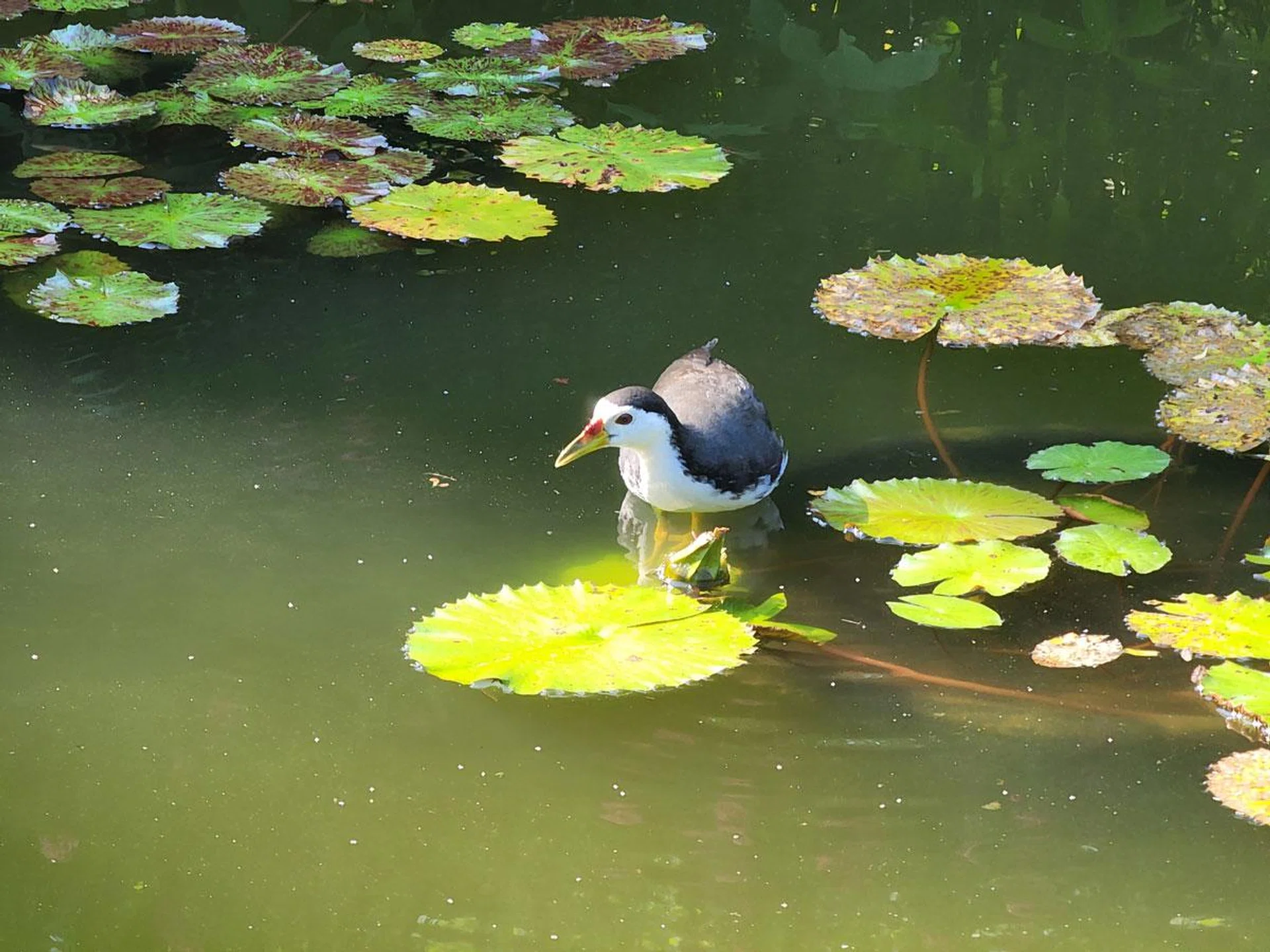 Samsung Galaxy S22 Ultra.