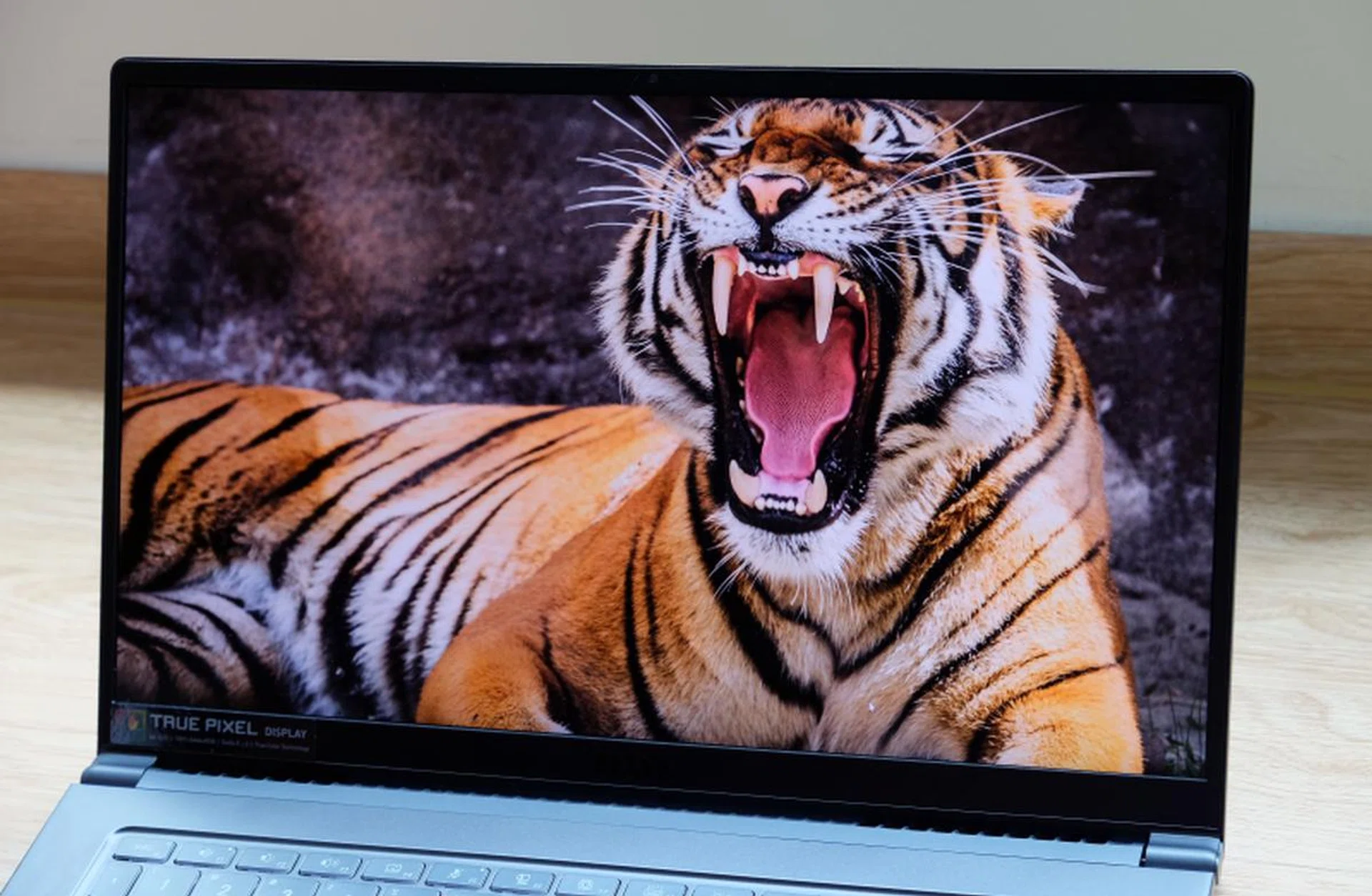 The display is fantastically sharp and colours are great.