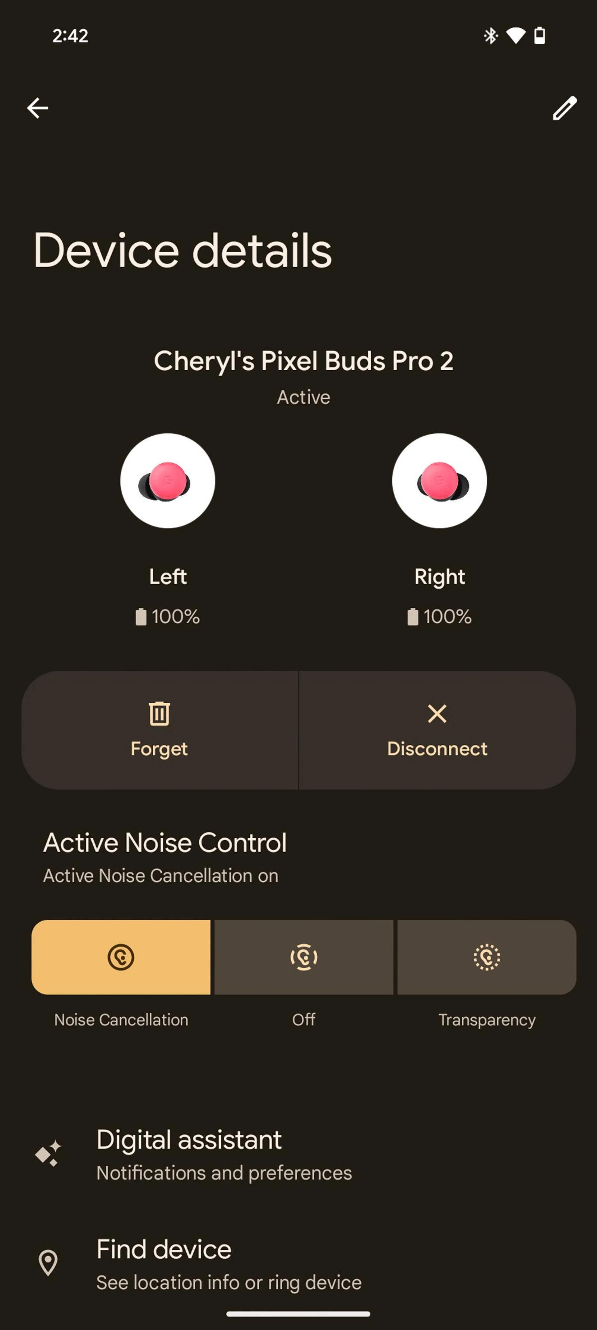 Pixel Buds app. Photo: HWZ.