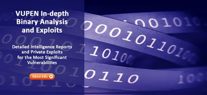 (Image Source: Vupen Security)