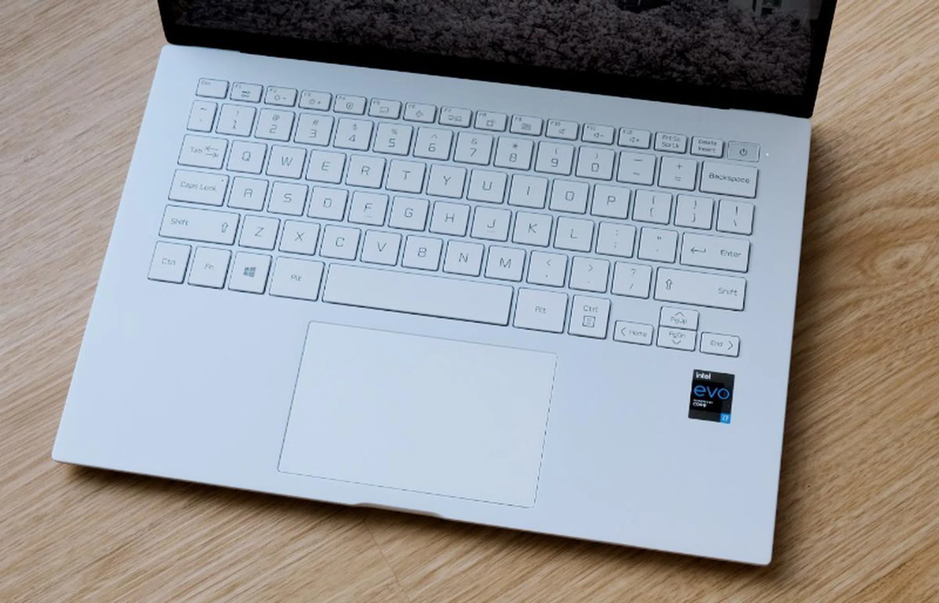 The keyboard has a sensible layout but small keys could be bigger. The trackpad is larger than older models.