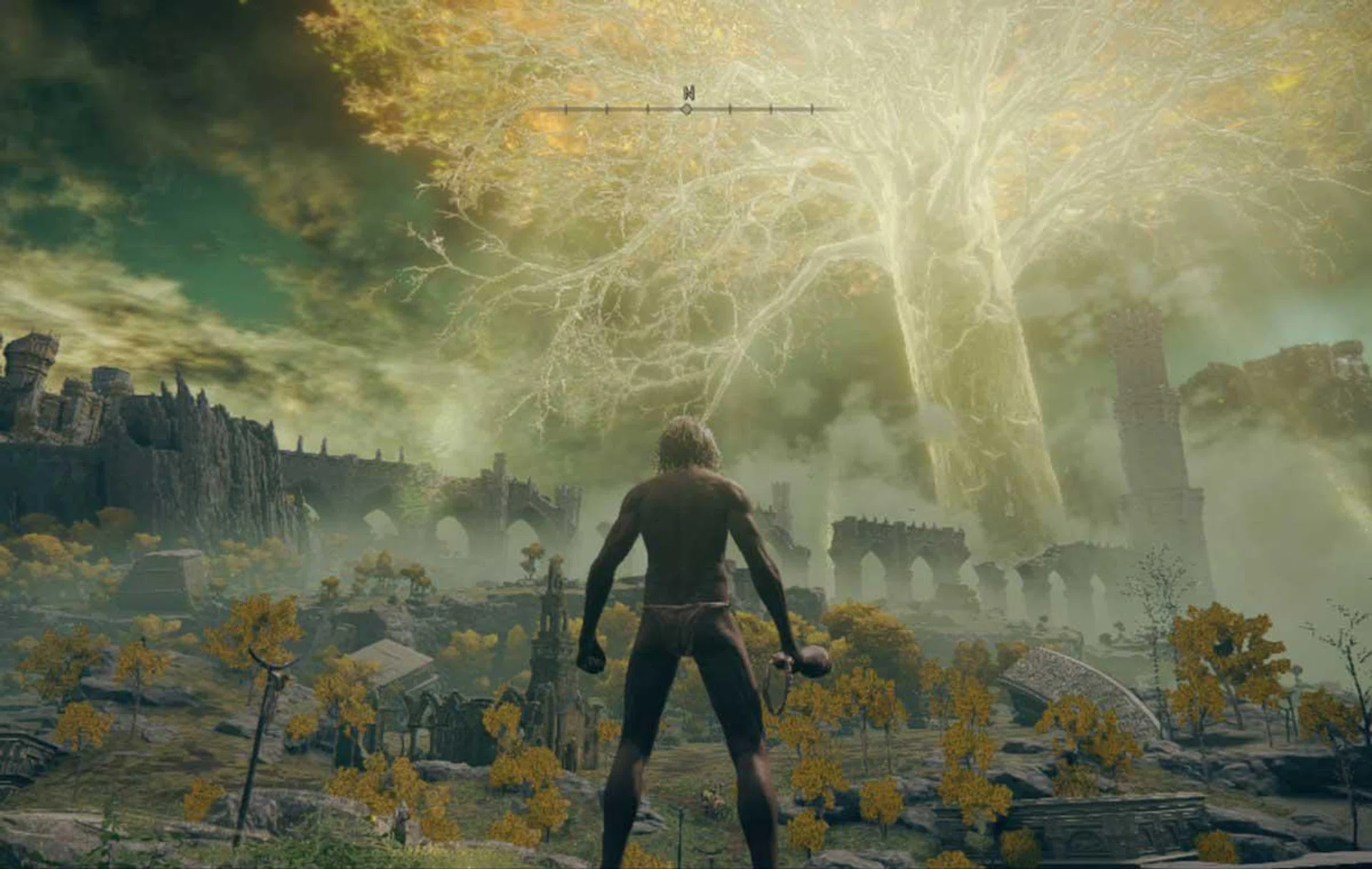 Limgrave, the game's first region, punctuated by the giant 'erdtree'.