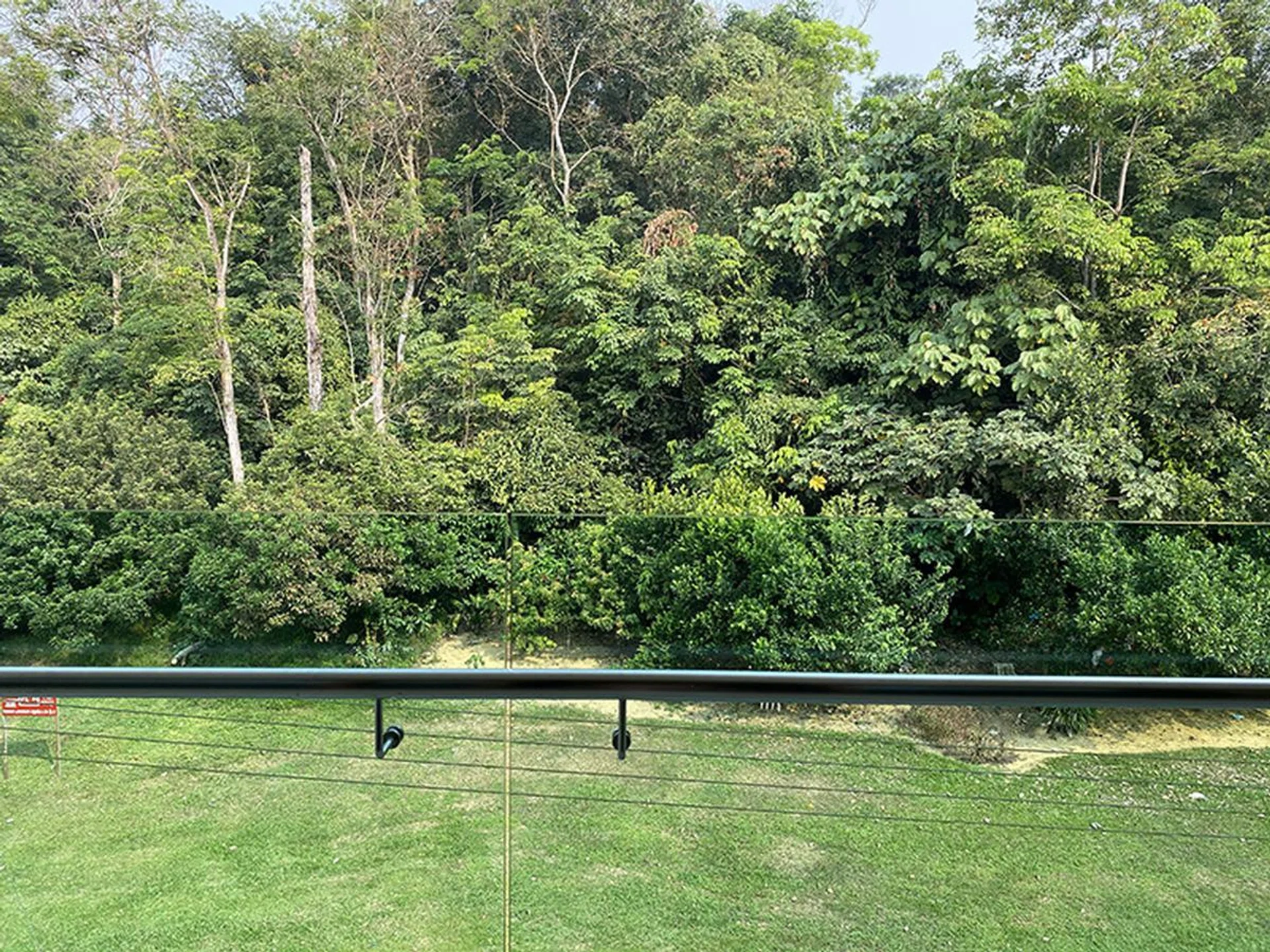 Taken with iPhone 11 Pro wide camera