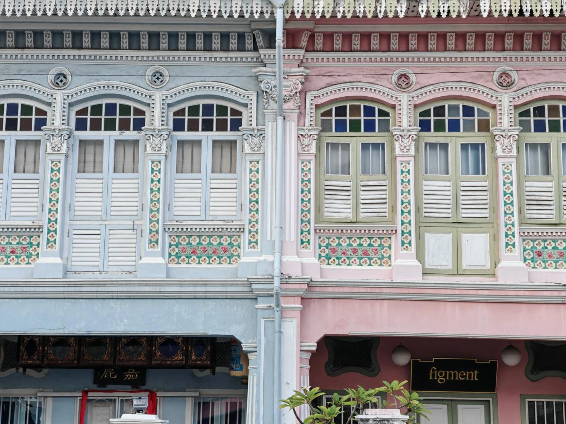 Honor 200 Pro, 2.5x optical zoom. Photo: HWZ.