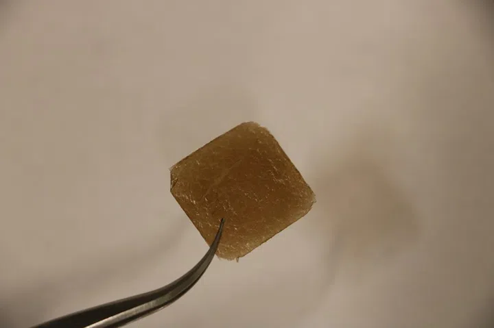 Image source: Hurt Lab, Brown University via Phys.org