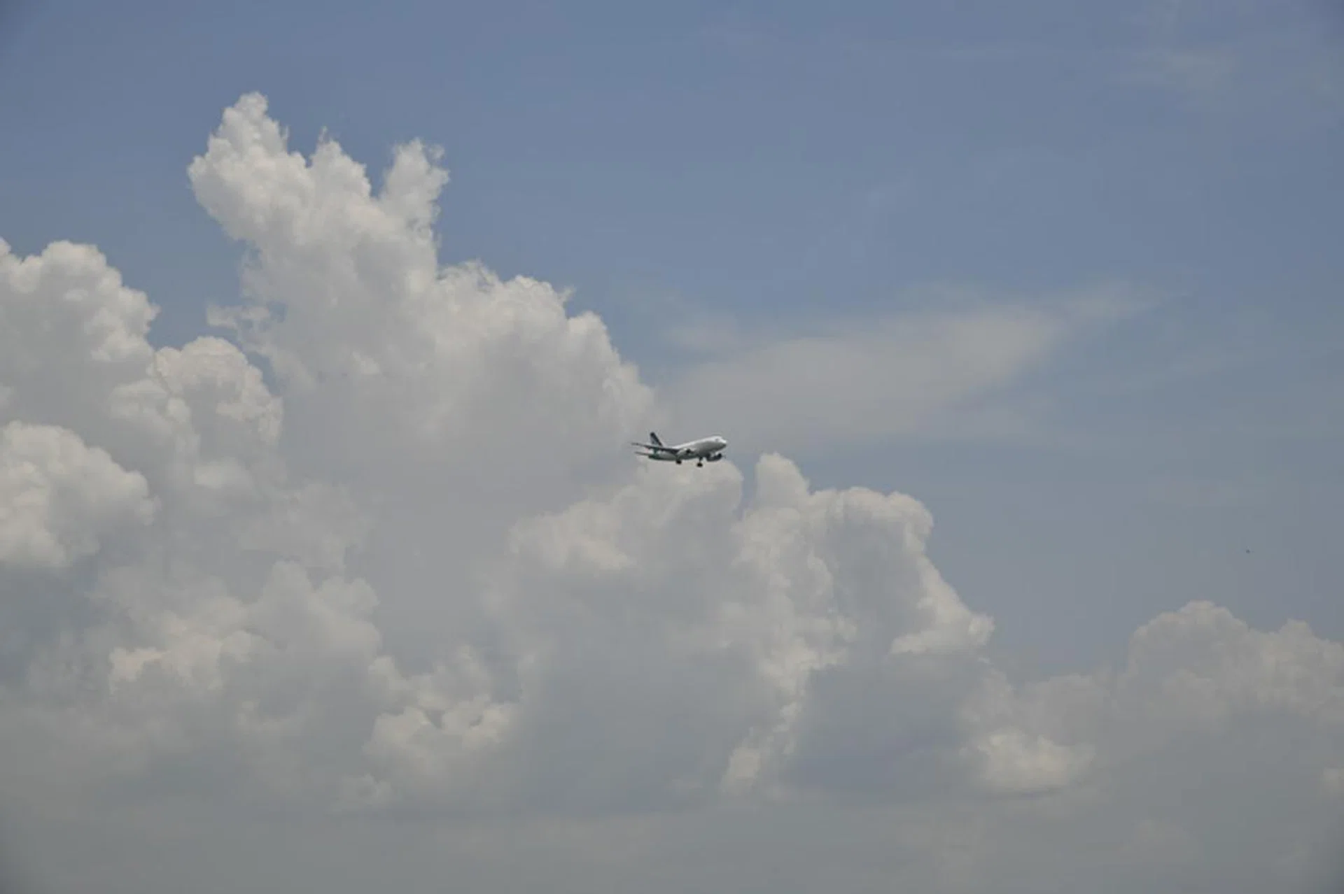 92mm at f/11, 1/1000s, ISO 200