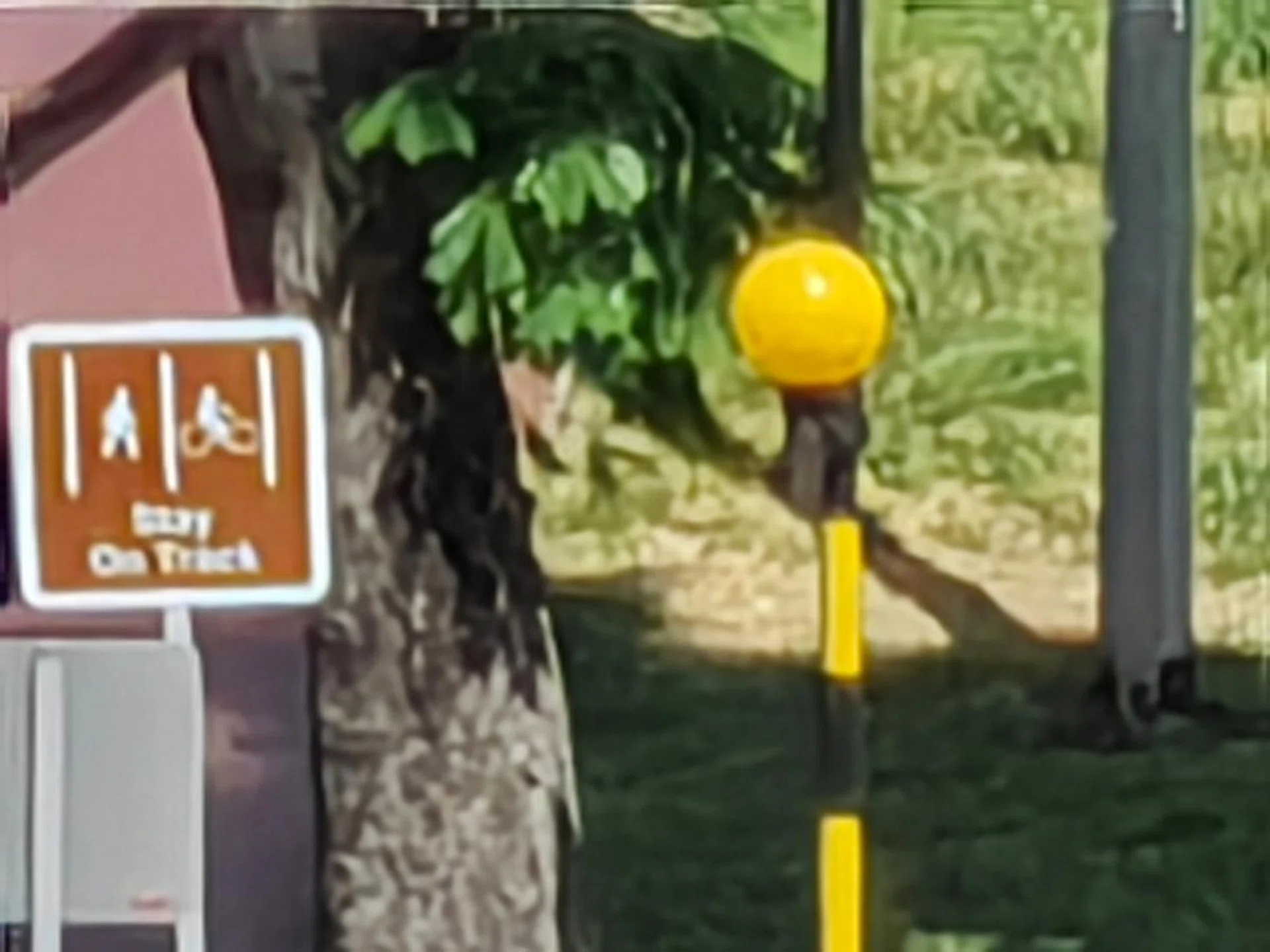 100x zoom (maximum).