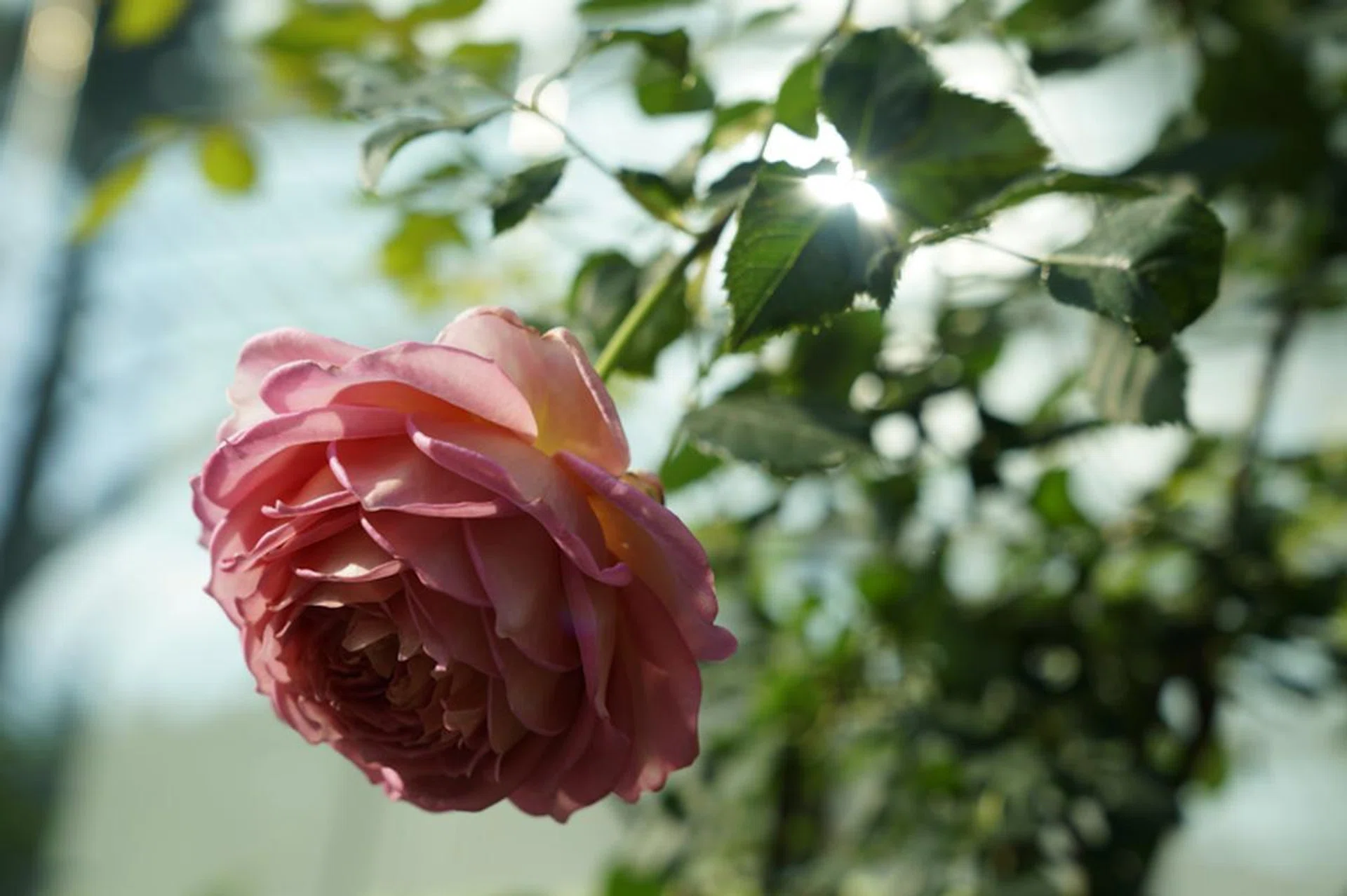 61mm at f/5.6, 1/100s, ISO 100