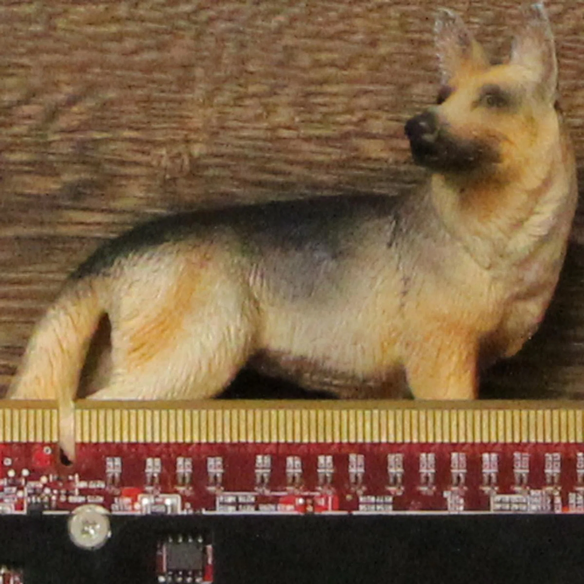 ISO3200, 100% crop of our test scene.