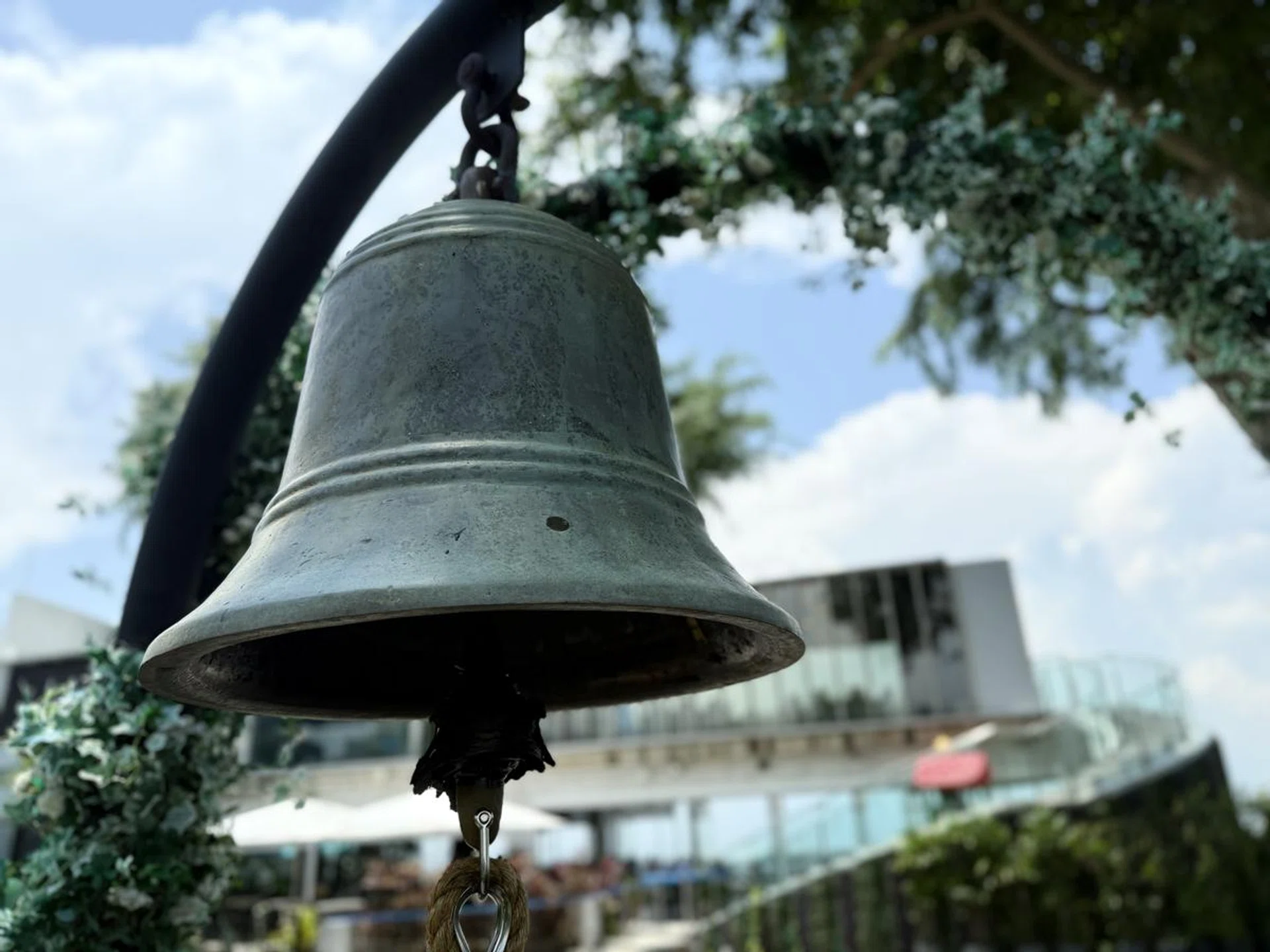 Taken with the iPhone 16 Pro Max's main camera with my own Photographic Styles setting. Notice how it can produce convincing-looking bokeh. (Click to see image in full resolution) Photo: HWZ