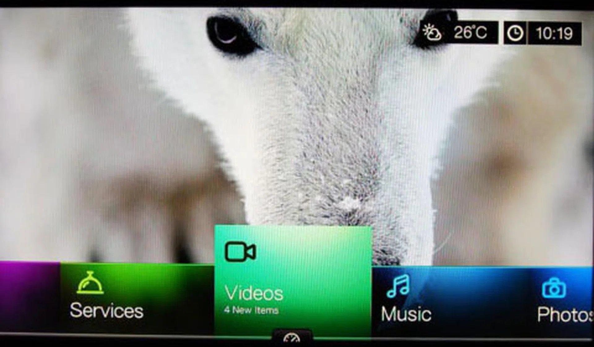 The WD Live Hub's UI. Arctic wolf included.
