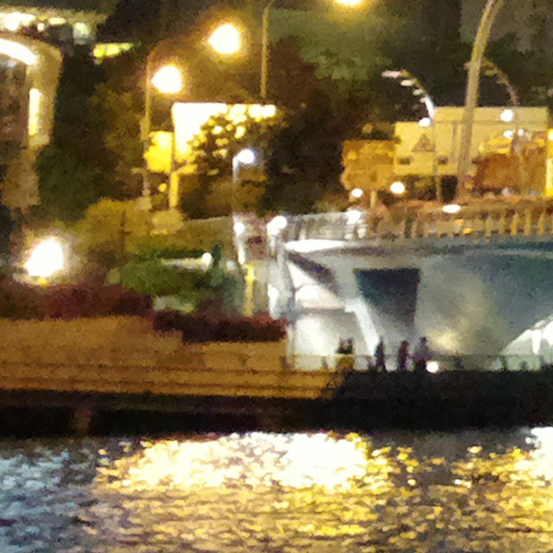 A 100% crop reveals excessive noise as well as image processing, which results in the image looking like a watercolor painting if you zoom in too much. Thus while still able to shoot at higher ISO settings, it's best to keep the images small for actual use and sharing.