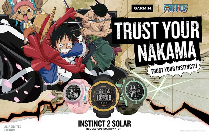 Image source: Garmin