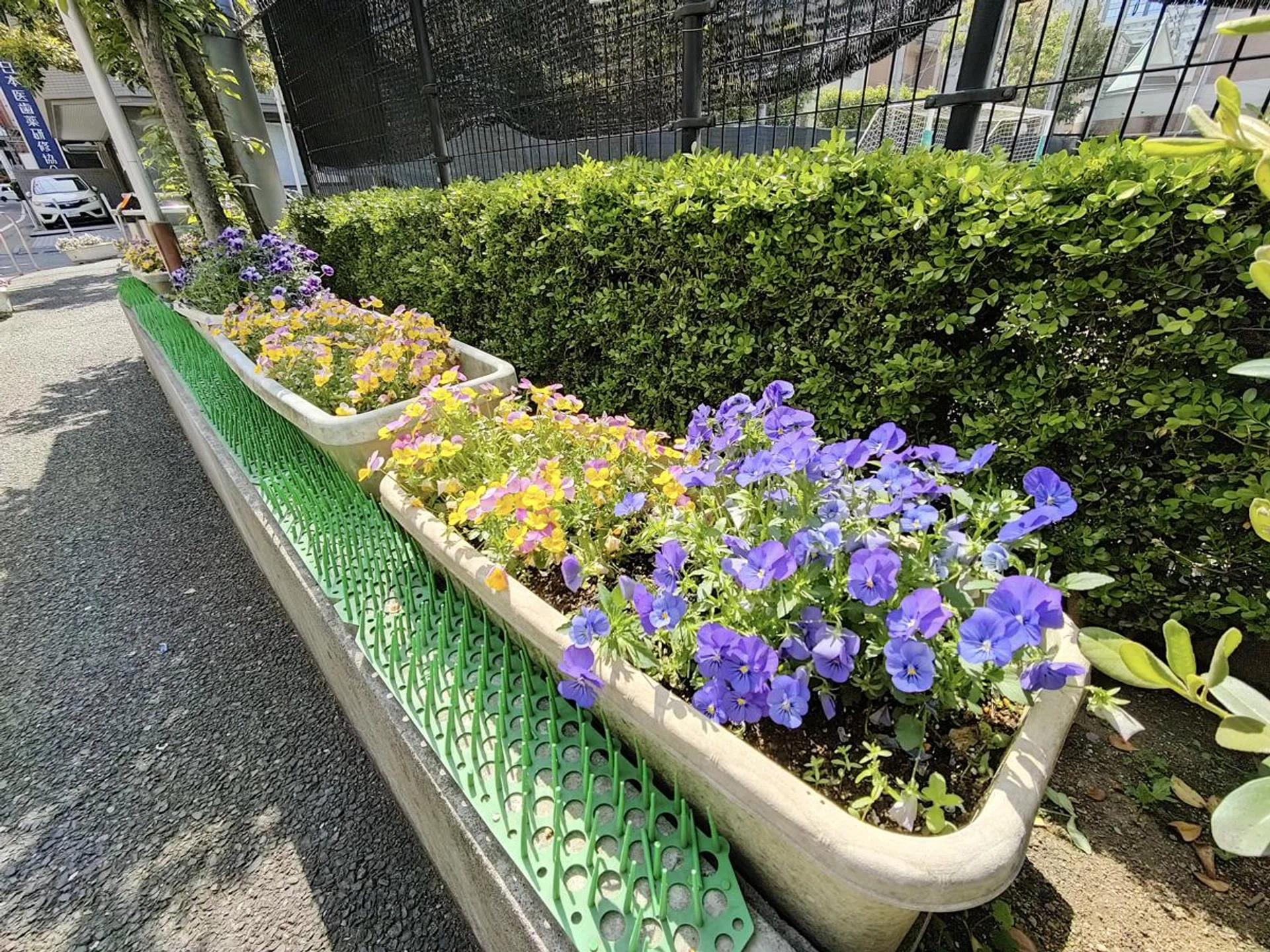 Ultrawide camera. Photo: HWZ.