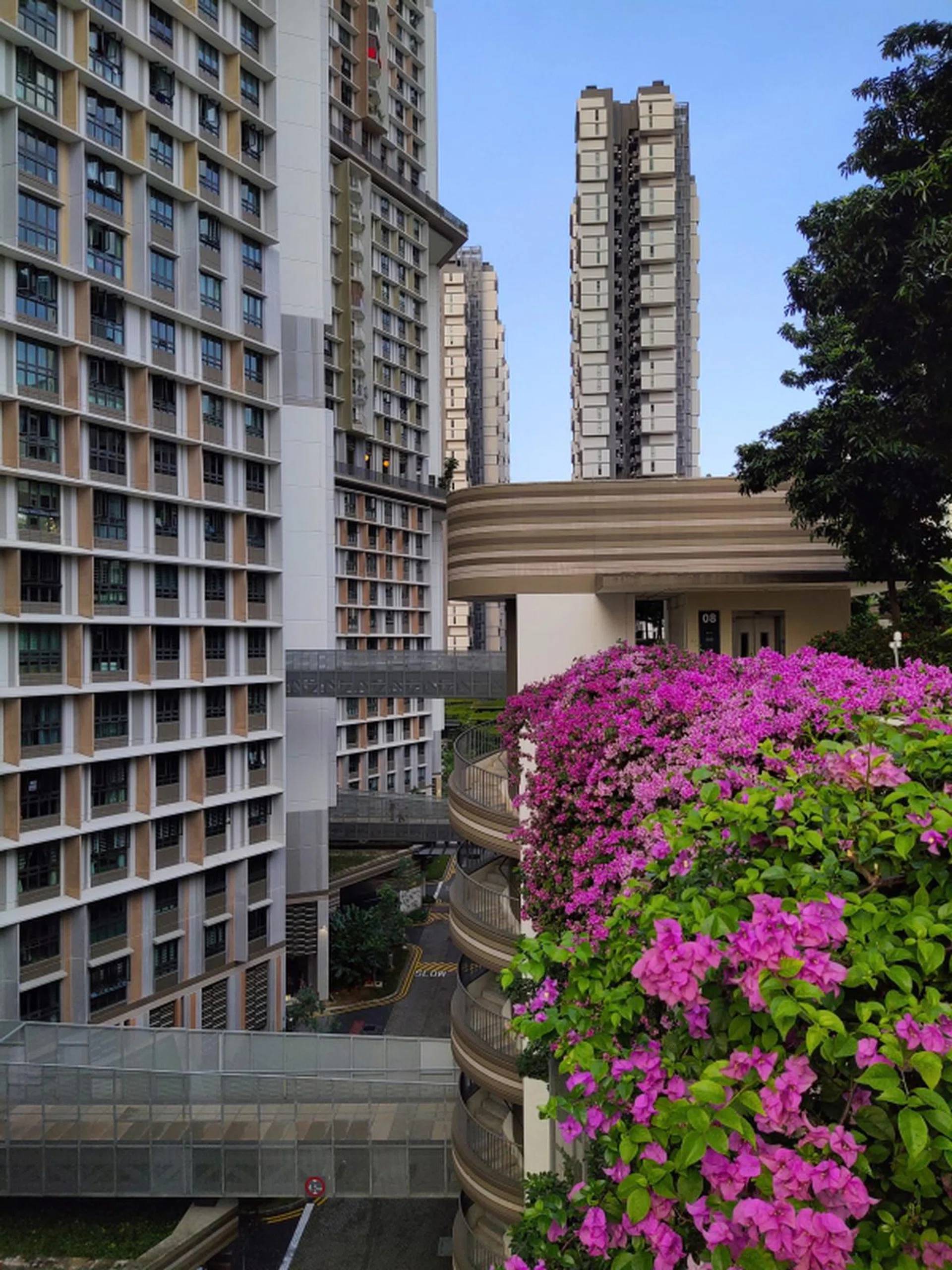 Blue, blue skies and whiter whites can be expected from the Vivo V15 Pro. (Click for full-size original image)