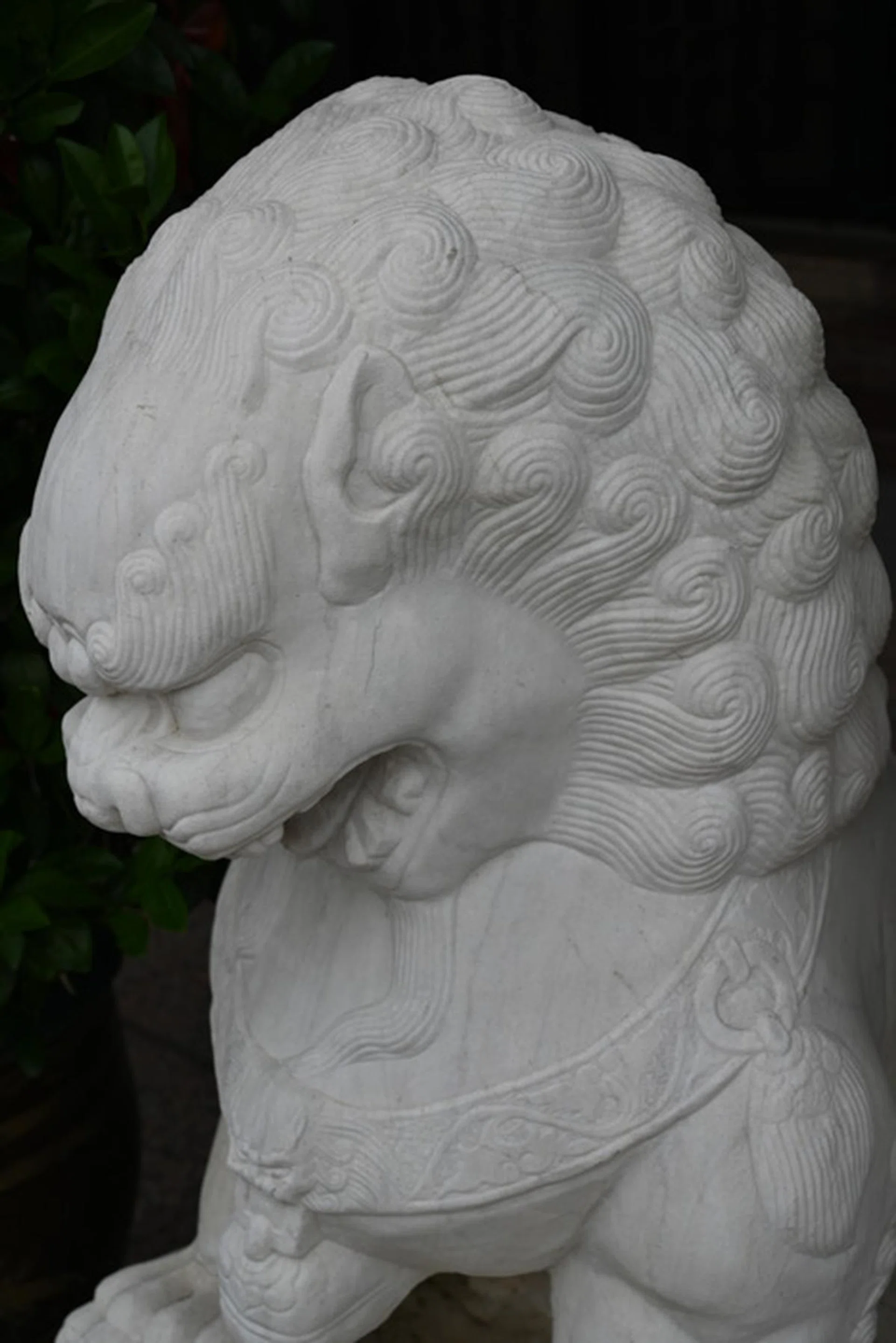 52mm at f/8.0, 1/200s, ISO 100