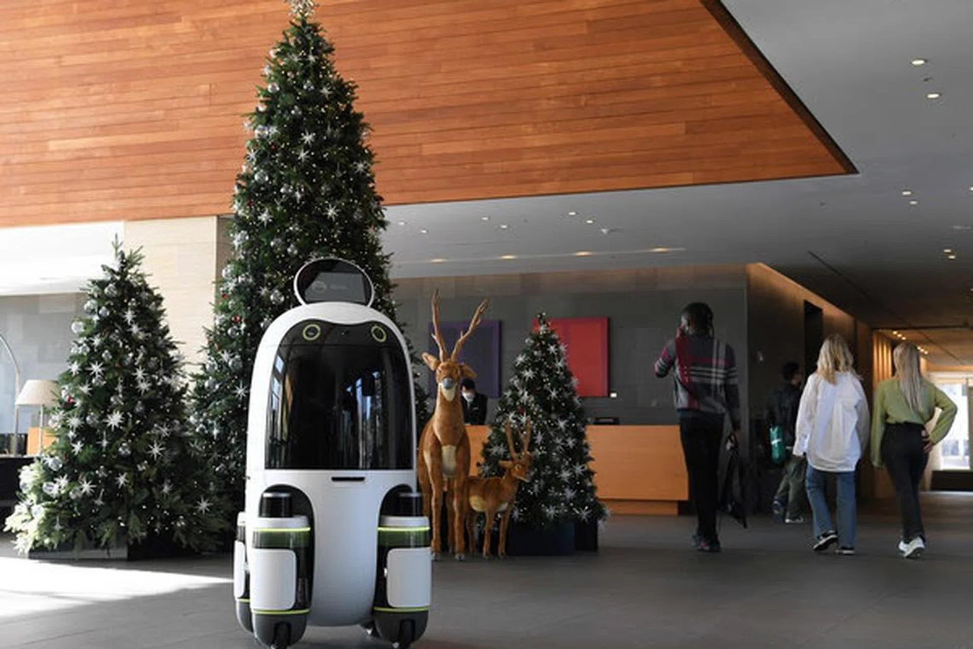 Hyundai Motor Group robots get rolling with pilot programs to advance last-mile delivery.