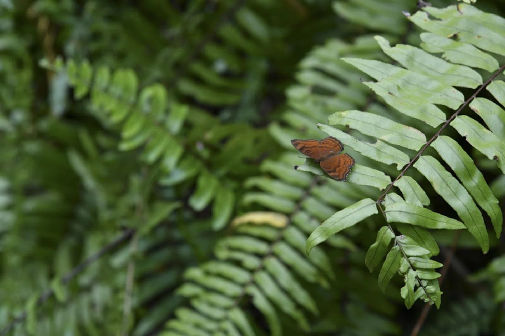 120mm at f/7.1, 1/125s, ISO200