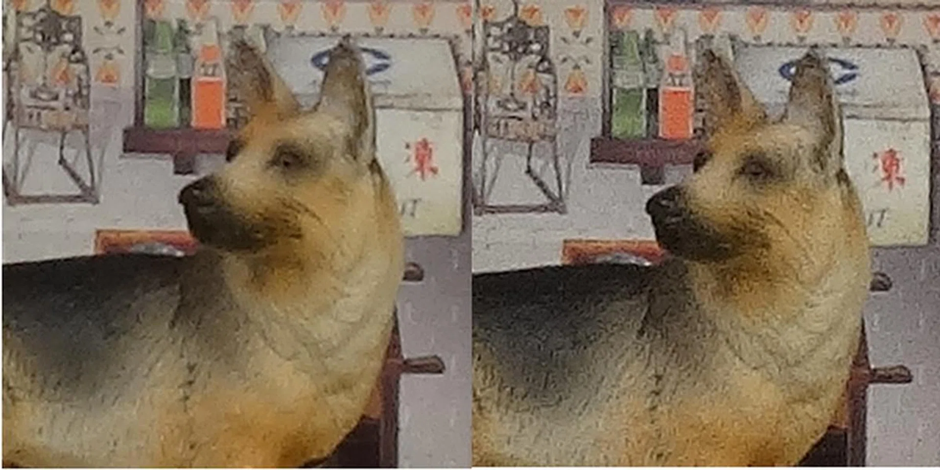 With noise reduction set to standard (left) details are smudged. But when it's set to low (right), images are grainier despite retaining more detail. Both were shot at ISO100.