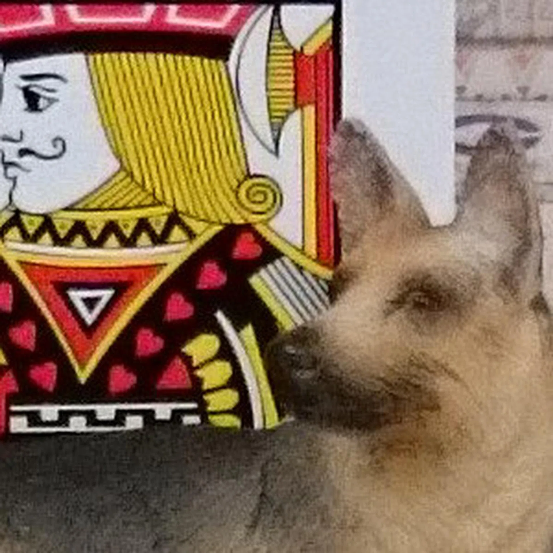 Things go downhill for the Sony Xperia Z2 once you hit ISO400.