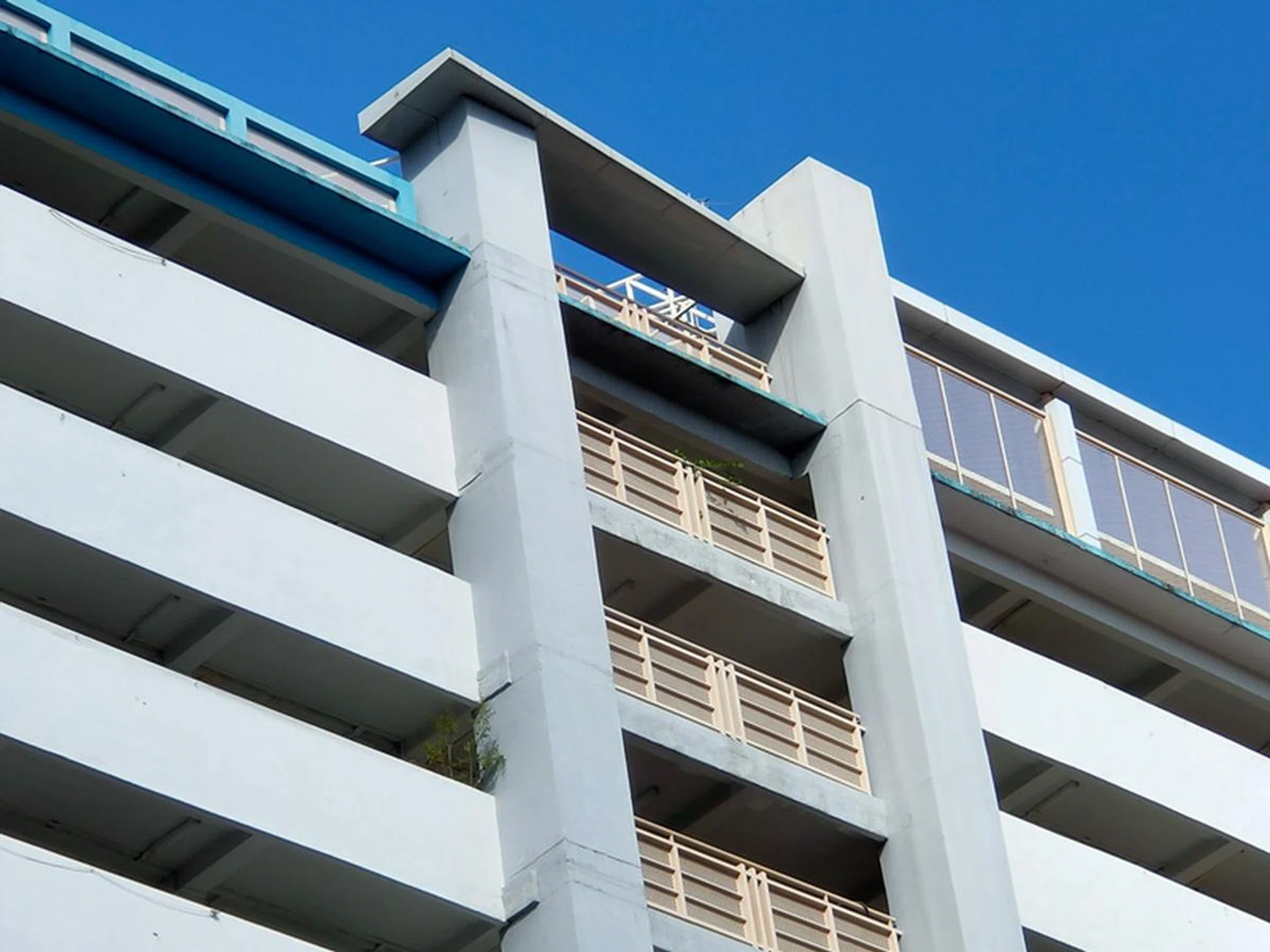 Reno2, 5x zoom, f/2.4, 1/640, ISO 100