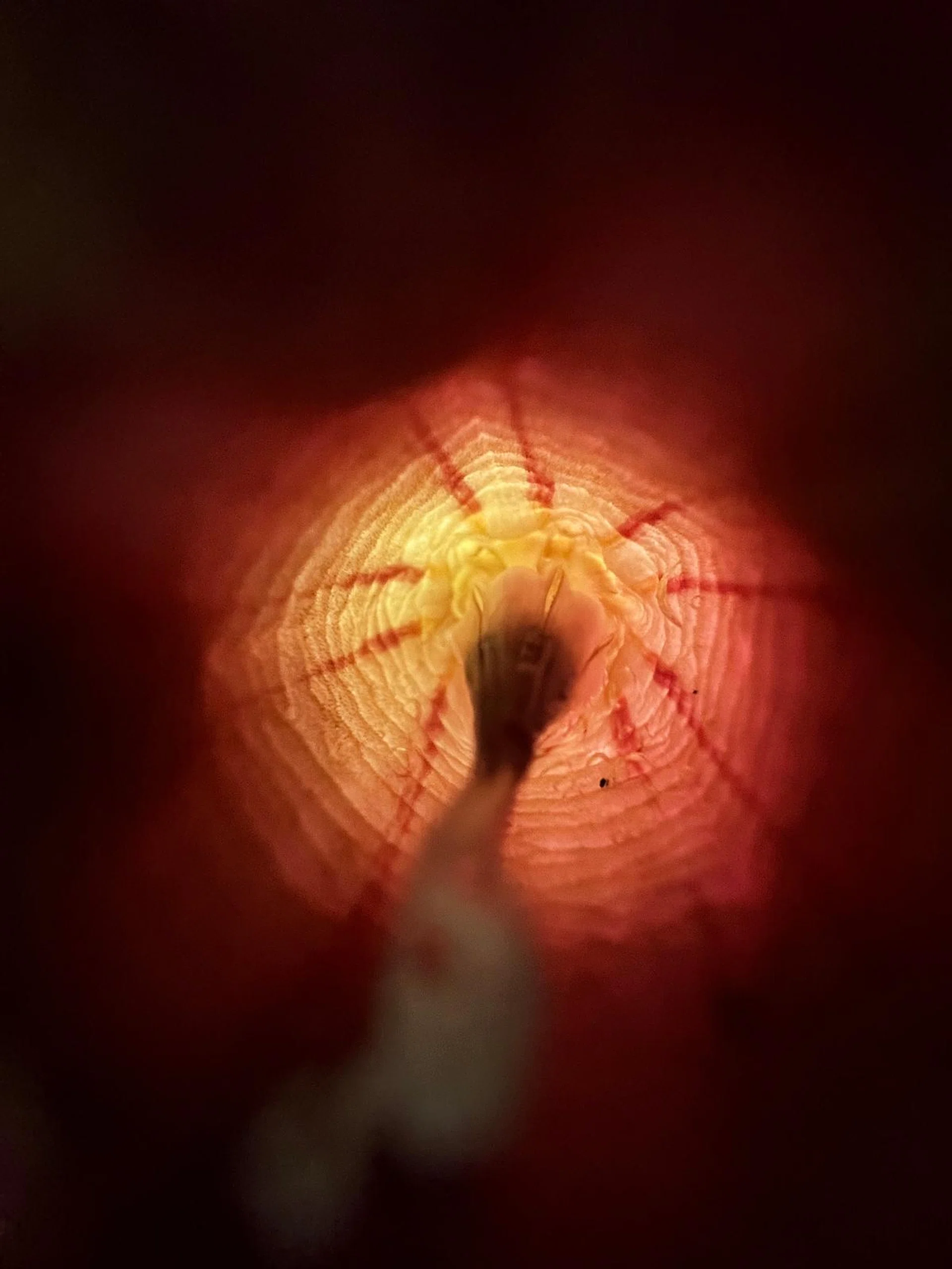 Apple iPhone 13 Pro Max.