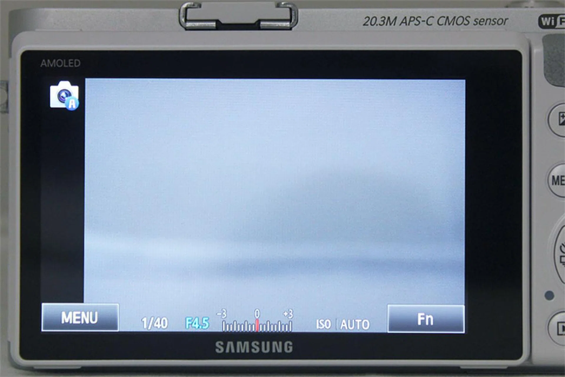 Those two Menu and Fn icons never go away, so they'll always - always - block your view of the shot.